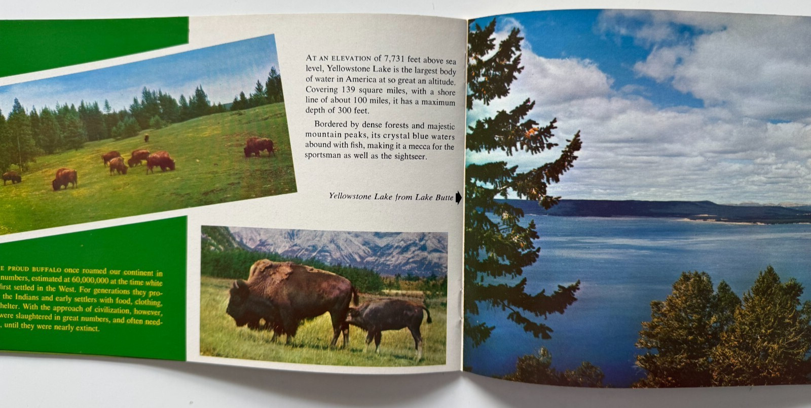 Vintage ca 1950s Yellowstone National Park Souvenir Booklet color illustrated