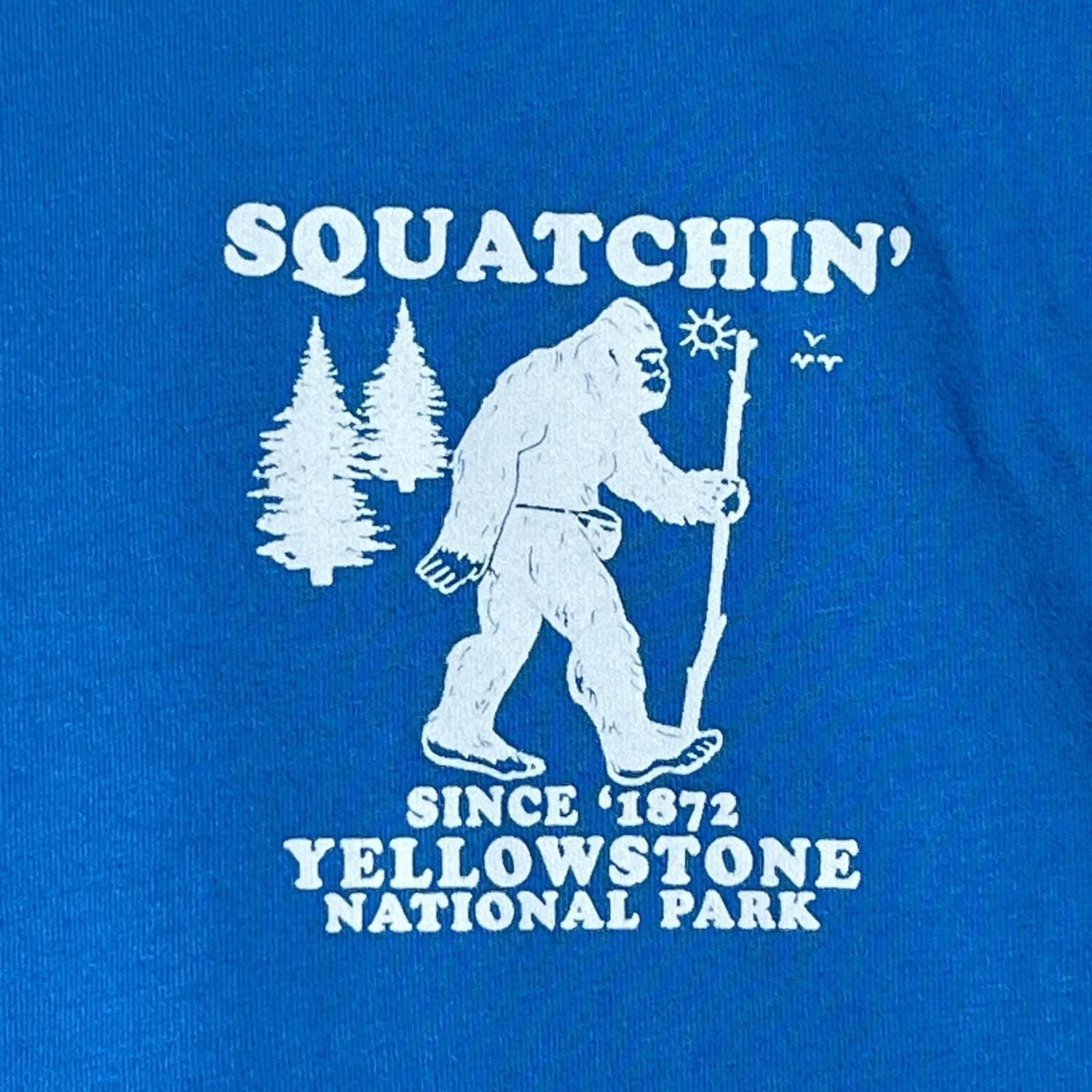 SQUATCHIN Yellowstone T Shirt Blue Delta Platinum Bigfoot National Park Gorpcore