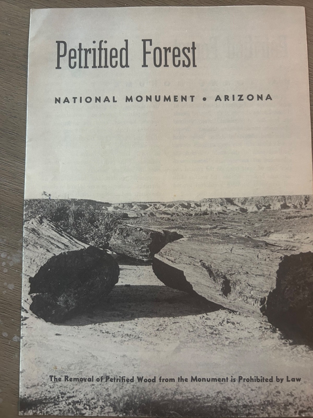 Lot of 3 Vtg Nat’l Park Brochures 58-60 Grand Canyon, Sequoia, Petrified Forest