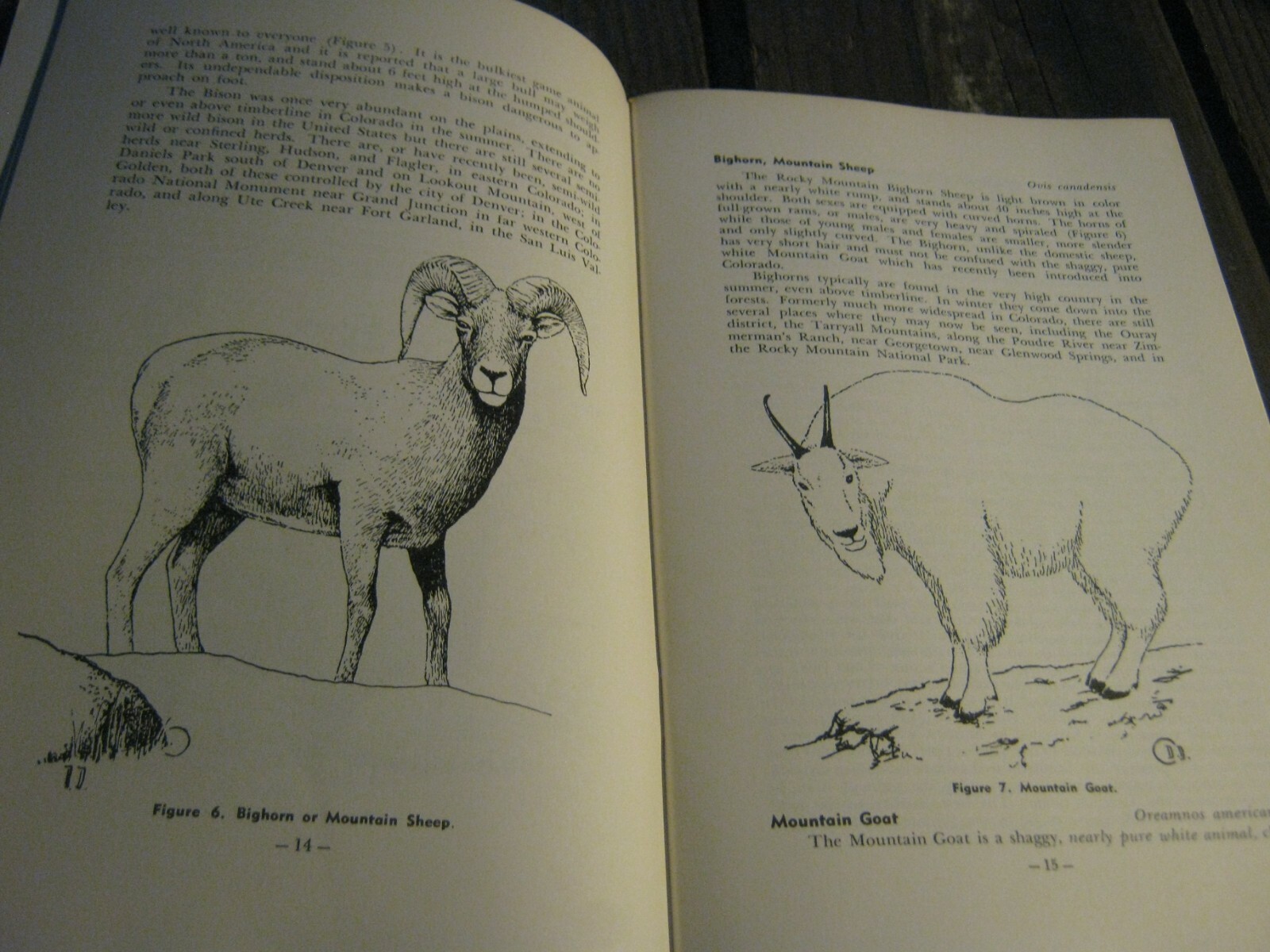 1967 Guide To The Mammals Of Colorado book by Hugo G. Rodeck
