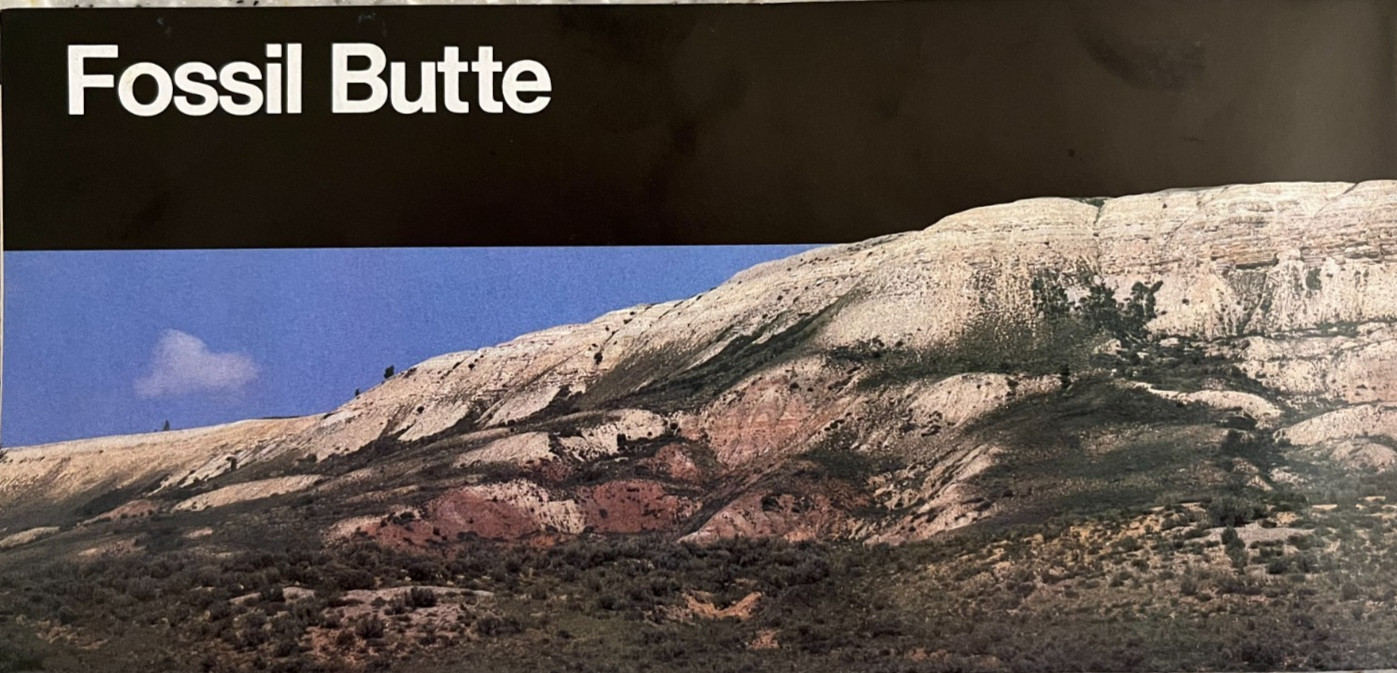 Vintage 1996 FOSSIL BUTTE NM – WY NATIONAL PARK SERVICE UNIGRID BROCHURE/MAP