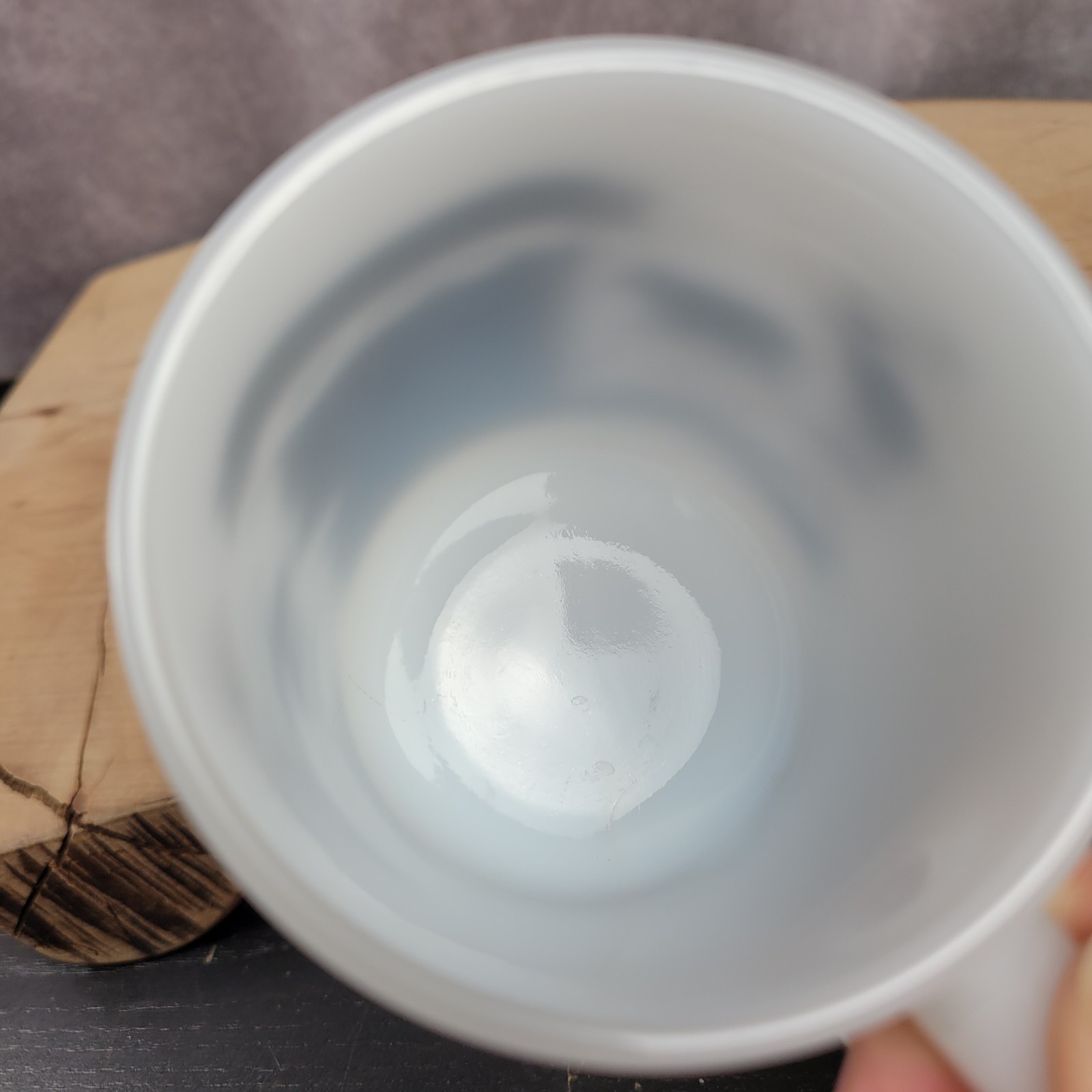 Vintage Yellowstone National Park Mug Federal Milk Glass Cup White Gold Black