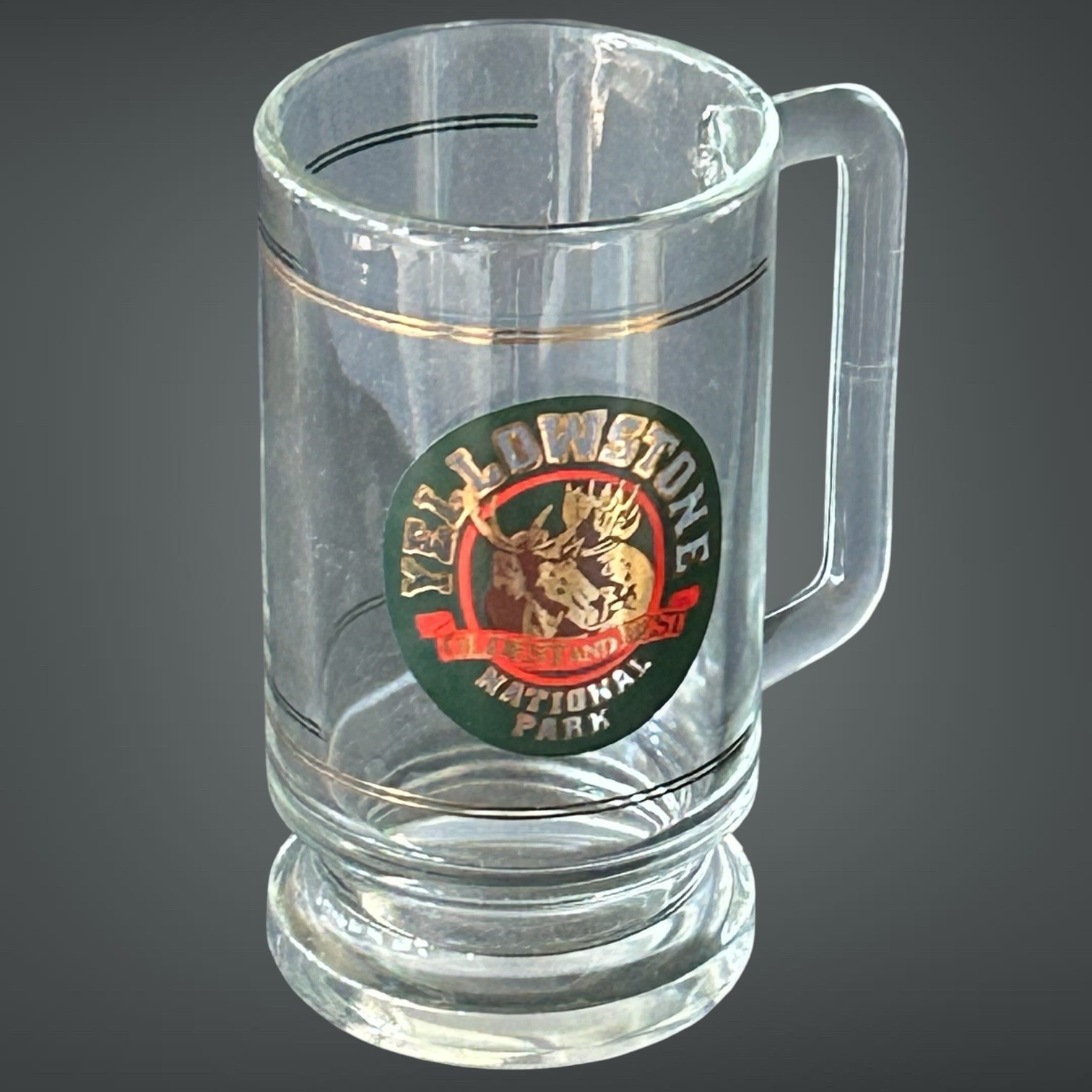 Vintage Yellowstone National Park Oldest And Best Moose Logo 16oz Glass Mug