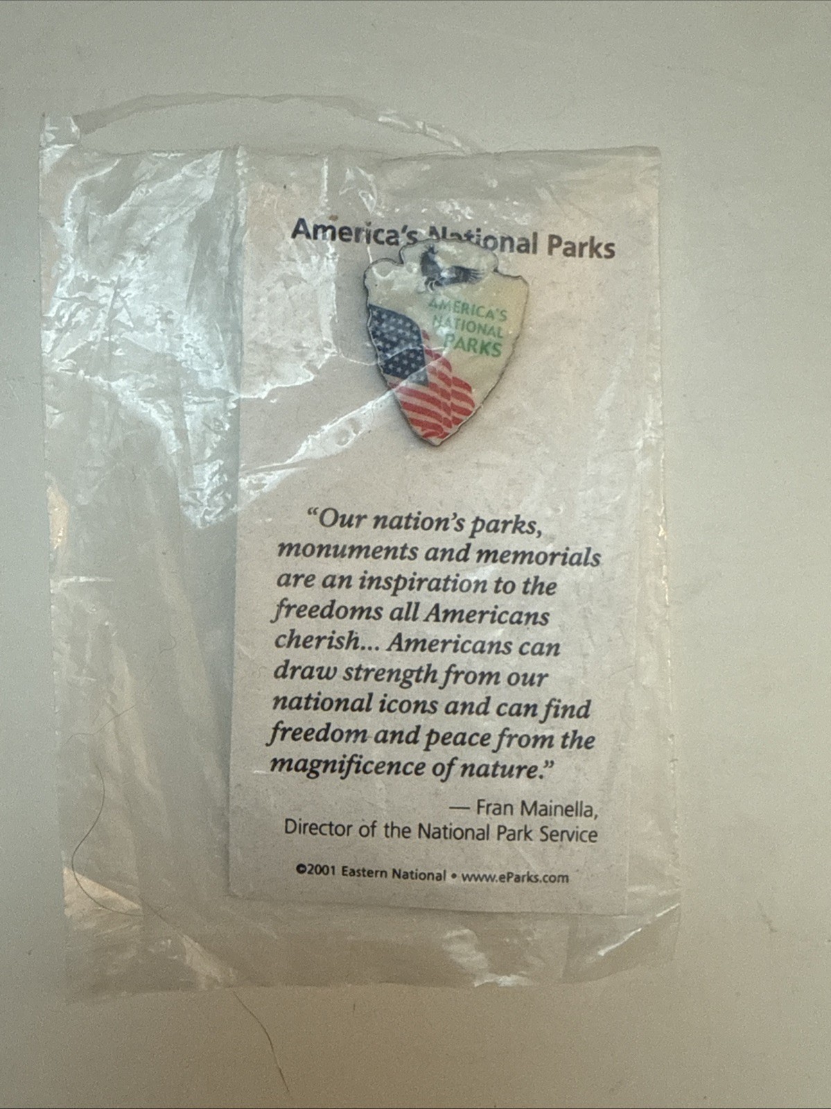 National Park Service Arrowhead Pin RARE Flag Eagle 2001 Mainella Vintage NPS