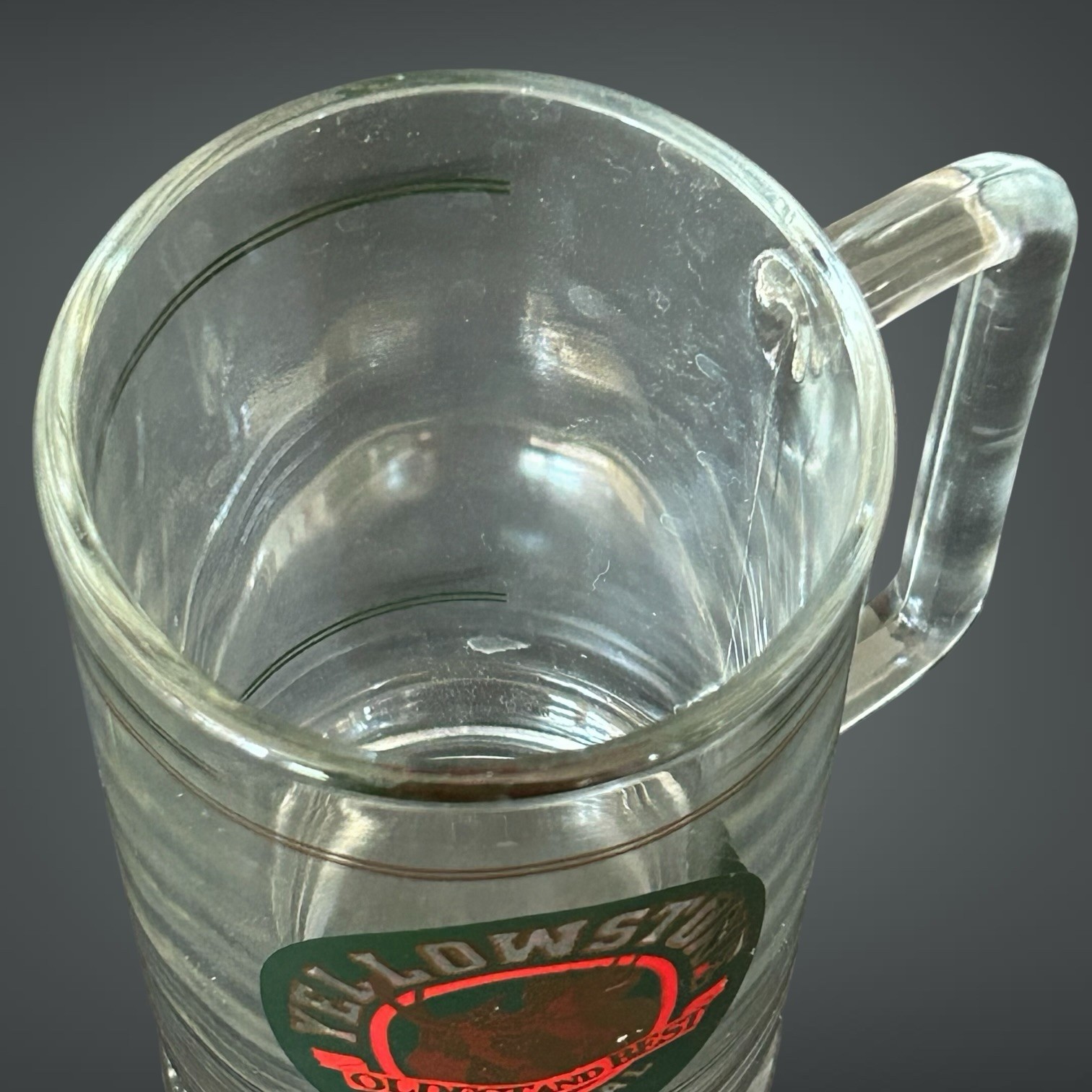 Vintage Yellowstone National Park Oldest And Best Moose Logo 16oz Glass Mug