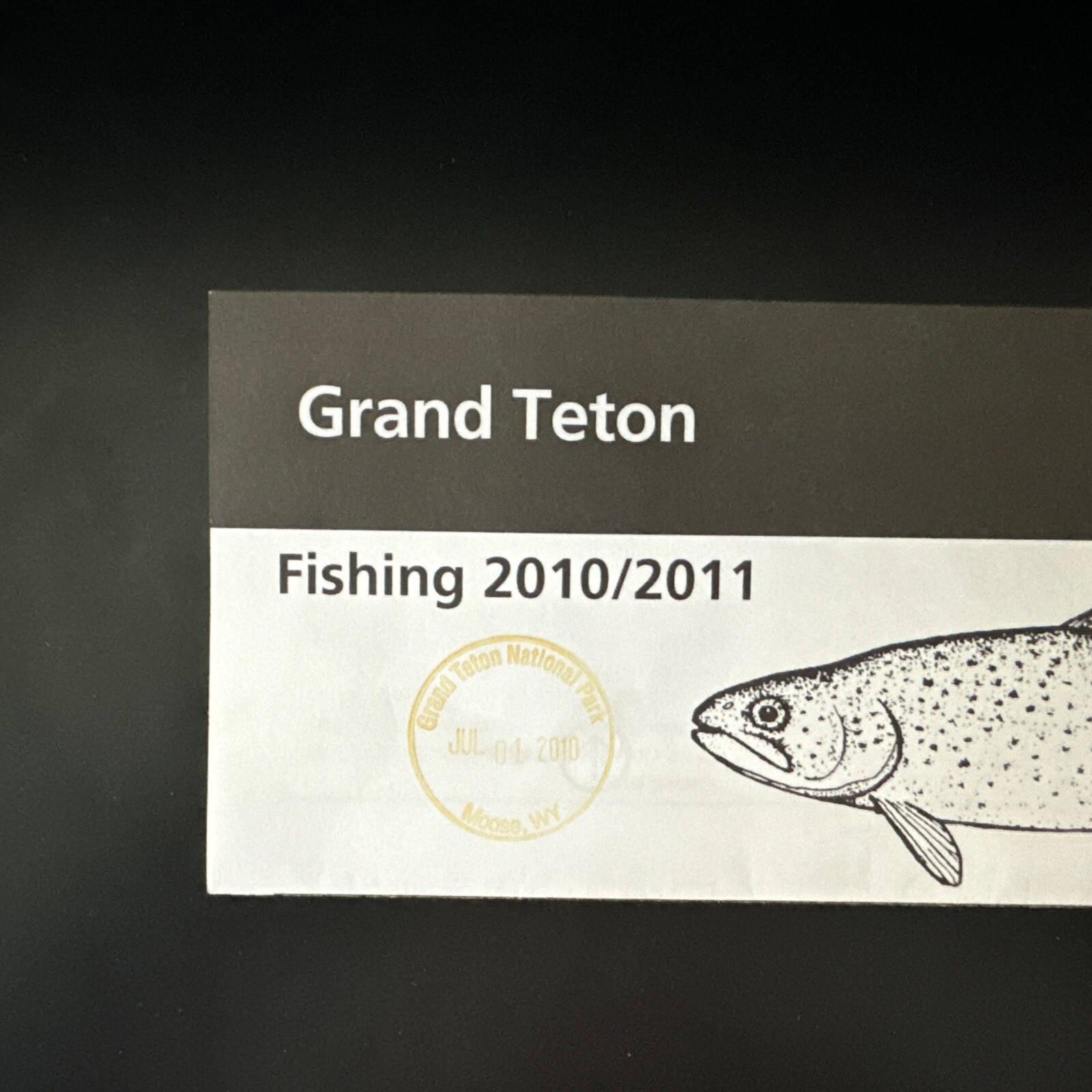 Grand Teton Wyoming Fishing Snake River Travel FLYER Natl Park Svc Map 2010/2011