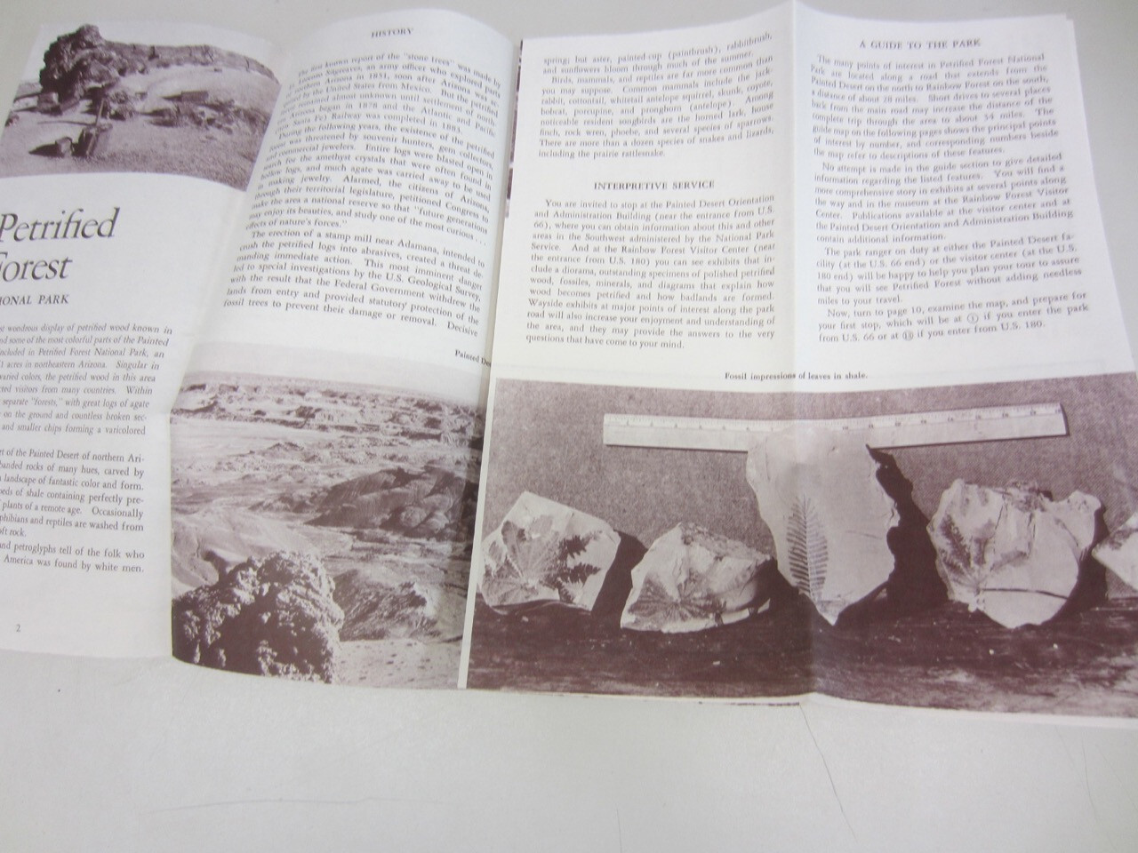 Vintage 1966 PETRIFIED FOREST Travel Brochure National Park Arizona Guide Map