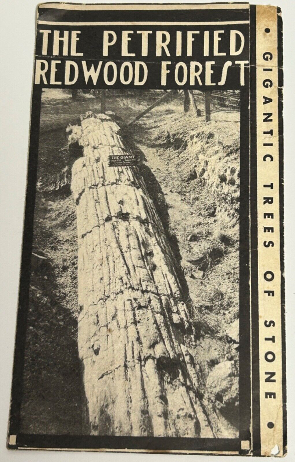 Antique 20s Redwood Petrified Forest Of California Information Brochure