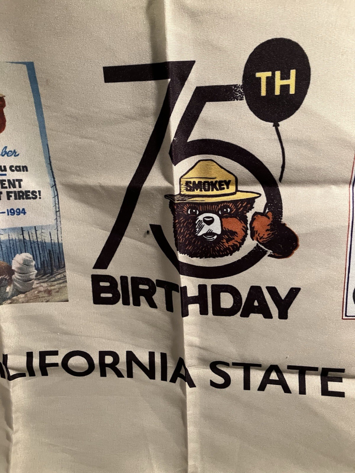 Camp Smokey Smokey The Bear 75th Birthday Scarf 2019 CA State Fair New
