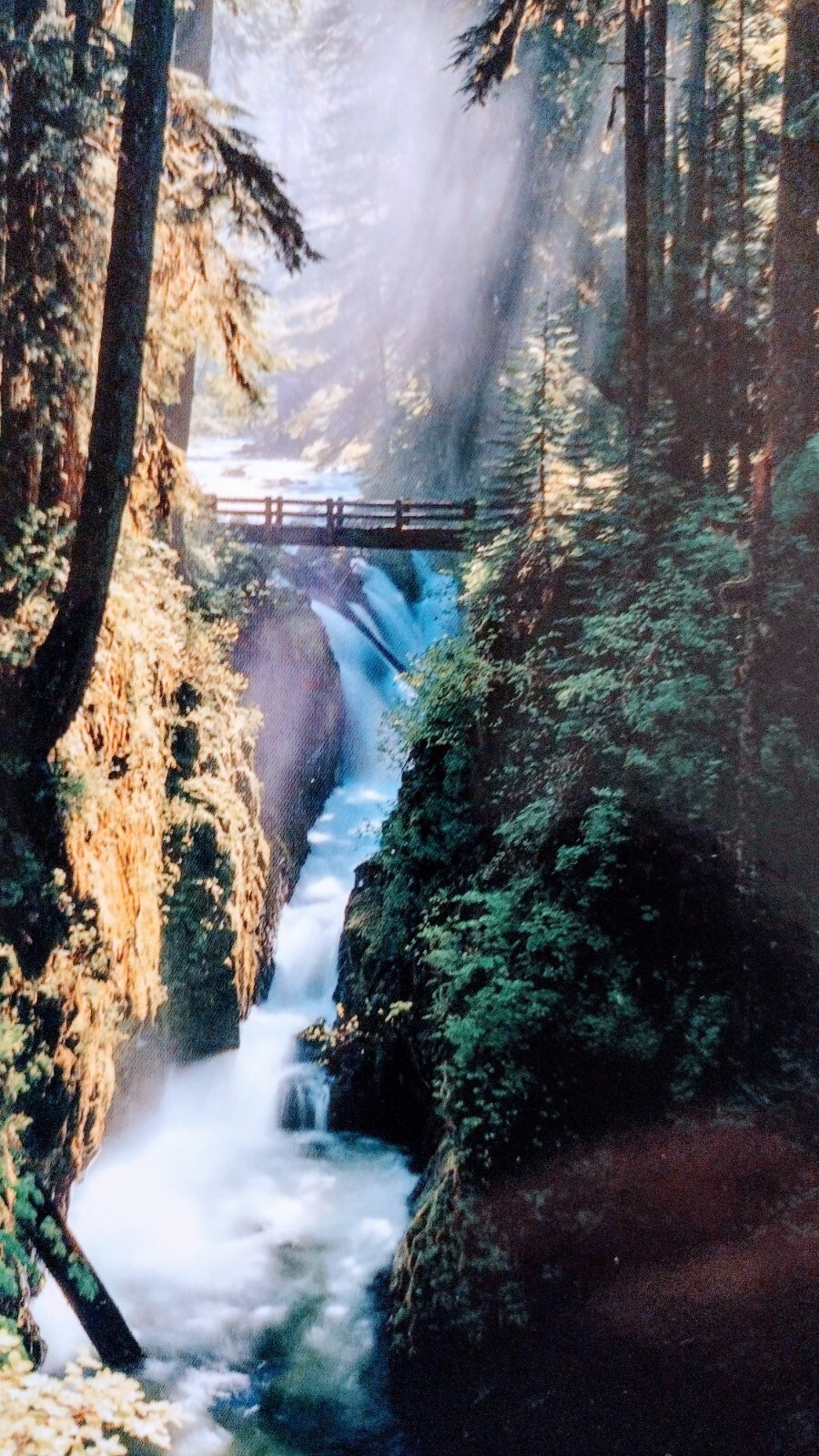 5 x 7 BEAUTIFUL POST CARD SOL DUC FALLS OLYMPIC NATIONAL PARK WA