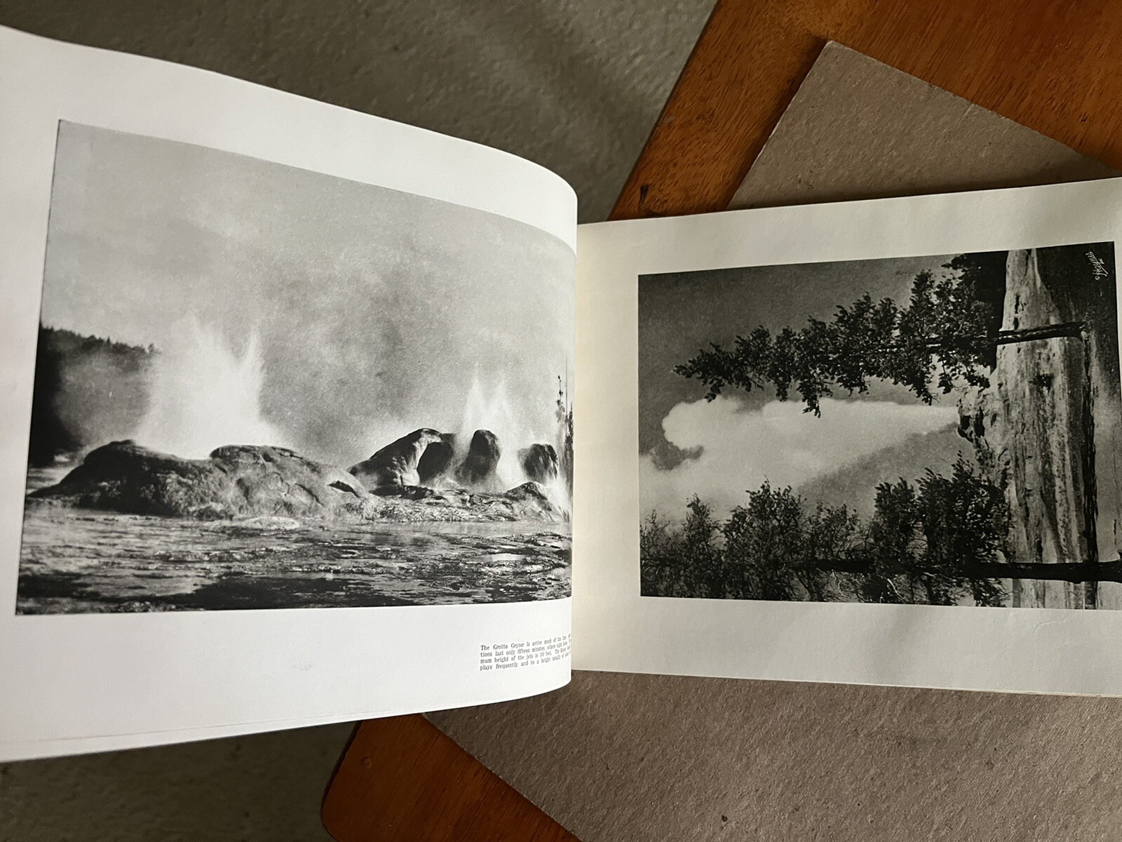 Vintage 1940 Hayne ‘ s Souvenir Album Yellowstone National Park B&W Photo Album