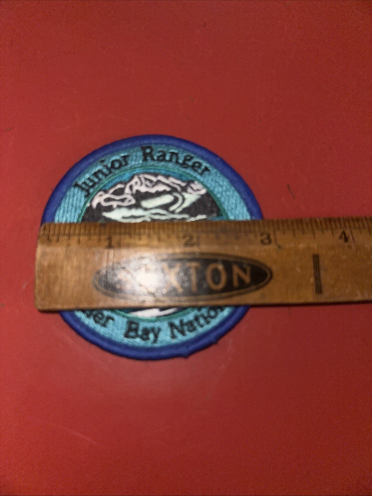NPS Junior Ranger Patch Glacier Bay National Park Iron On Parks Whale Fluke Blue