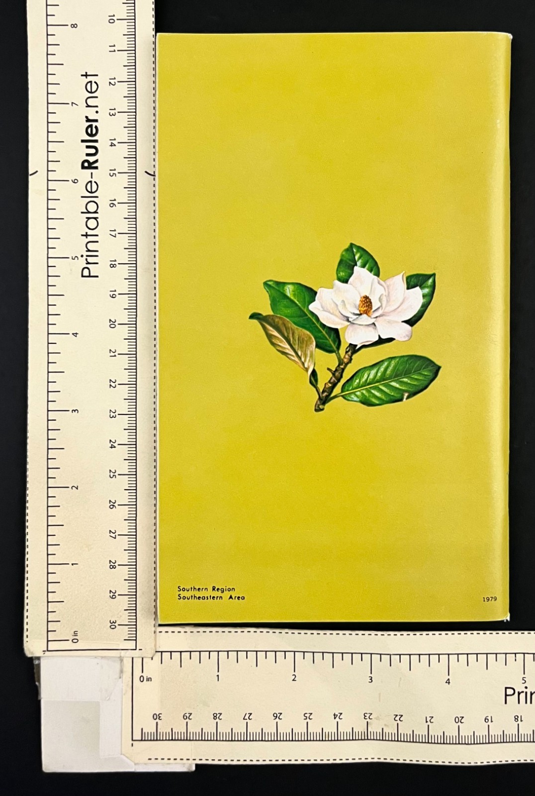 1979 USDA Eastern Forests Important Trees Nature Guide Vintage Travel Booklet