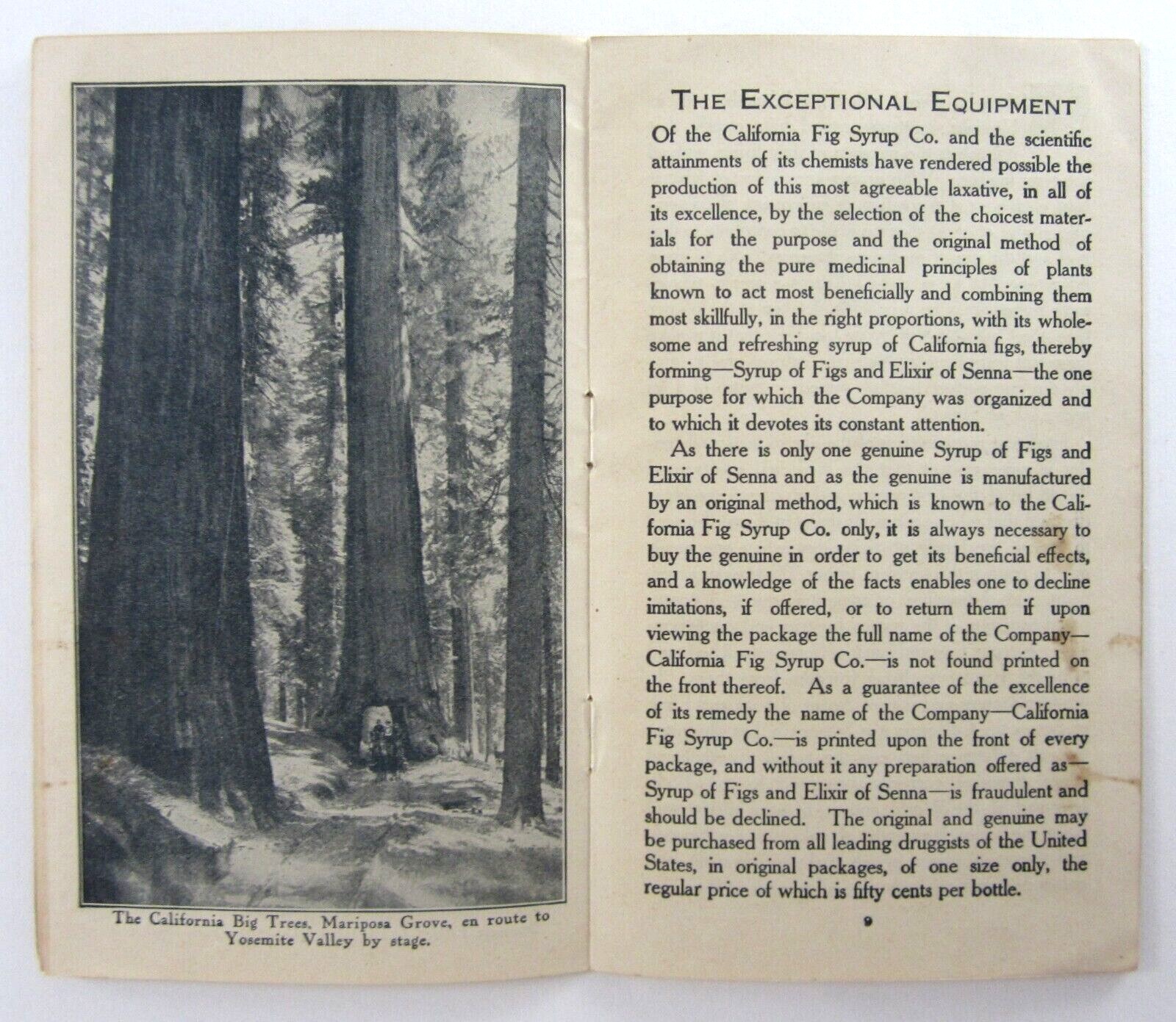Vintage Yosemite Valley Lake Tahoe Medicine Brochure California Fig Syrup 1900s