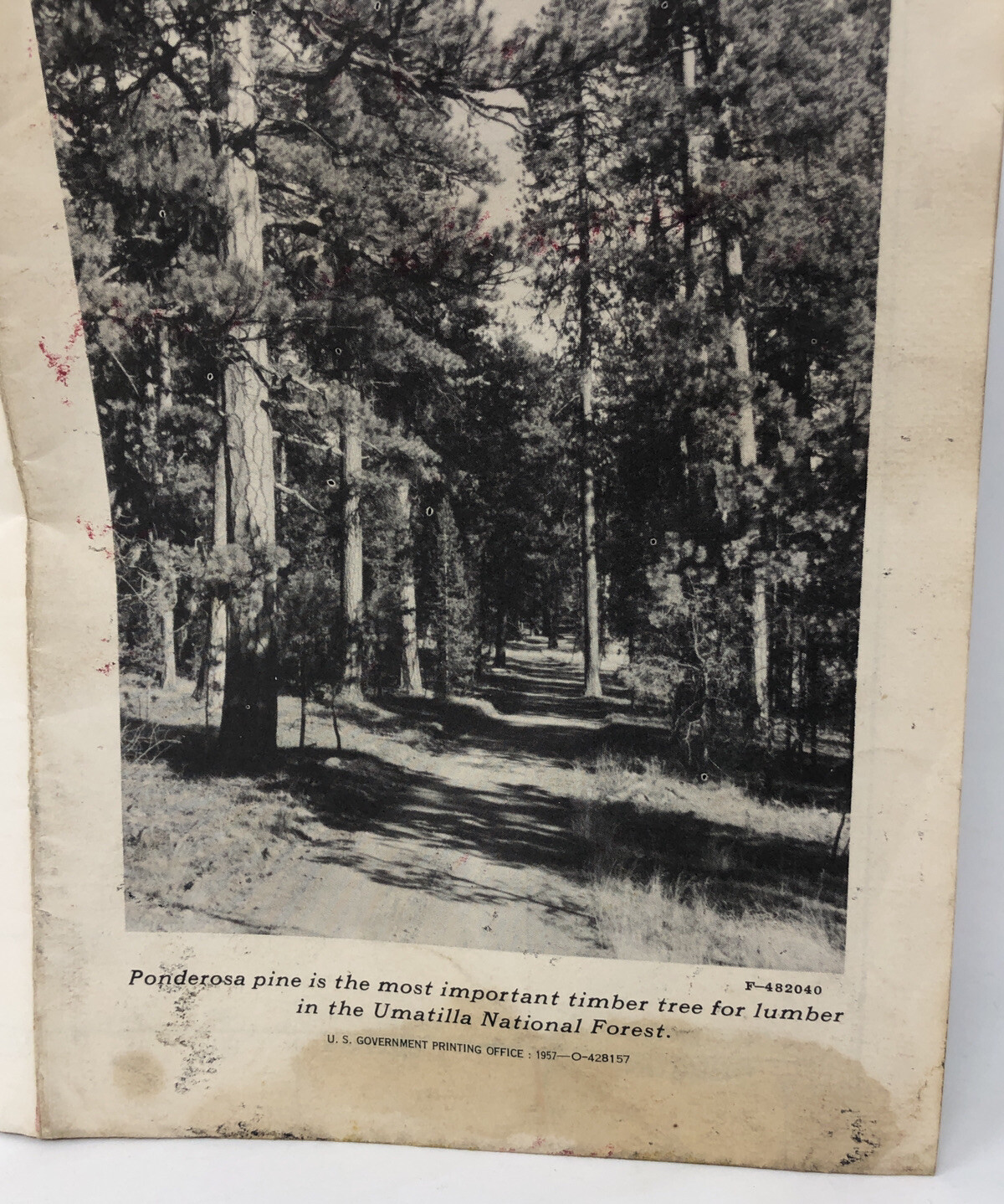 VTG Umatilla National Forest Service Map Brochure 1957 US Dept of Argiculture