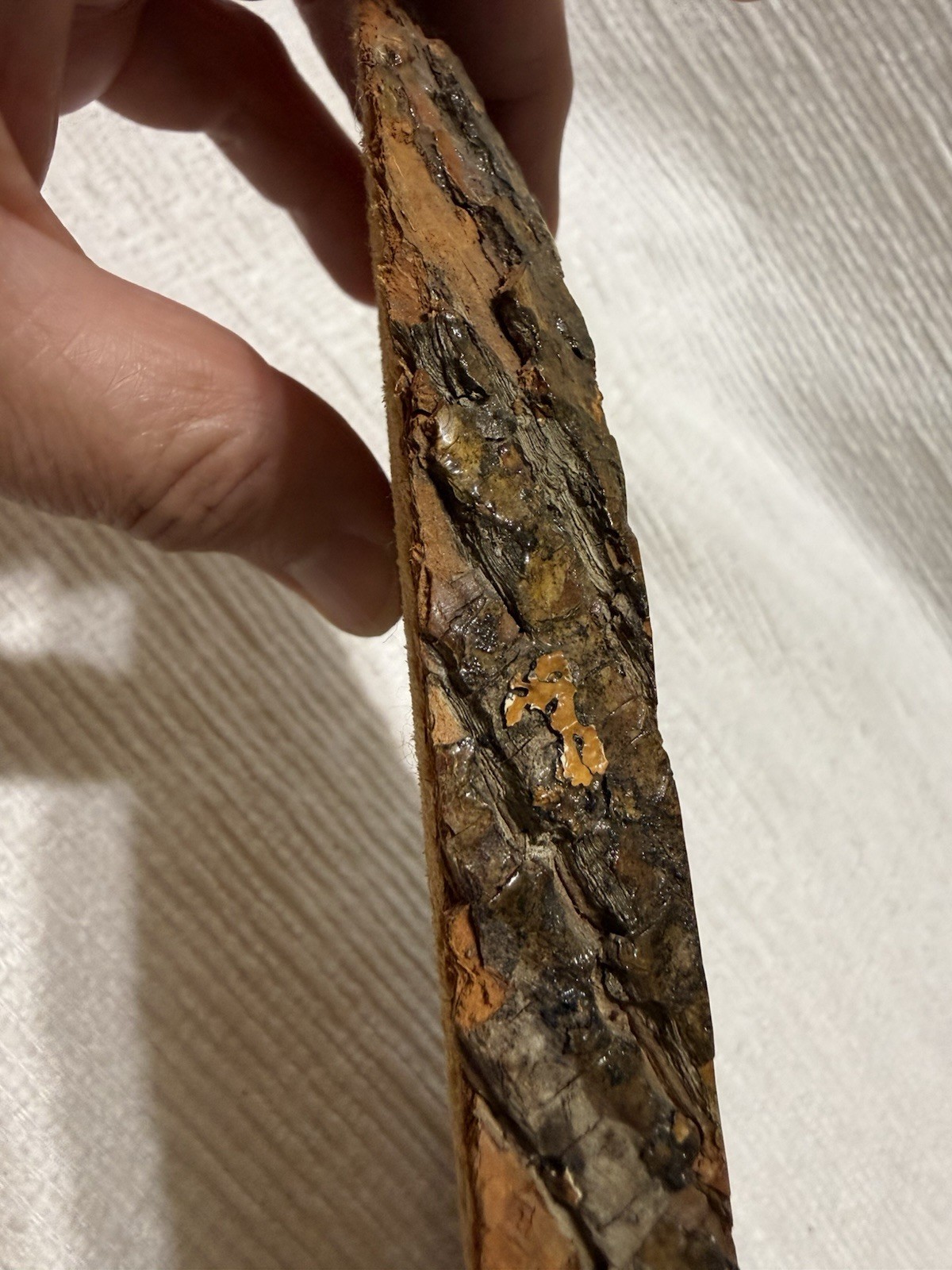 Vtg. “GREAT SMOKY MOUNTAINS” 11.75” Collector Wood Slice Wall Thermometer