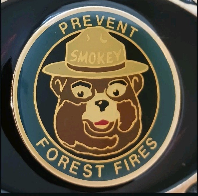 Smokey Bear Prevent Forest Fires Enamel Solid Brass Vintage Belt Buckle