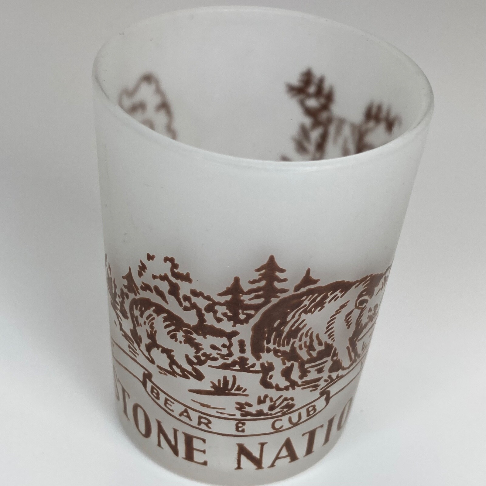 Yellowstone Souvenir Frosted Glass Toothpick Holder Old Faithful National Park
