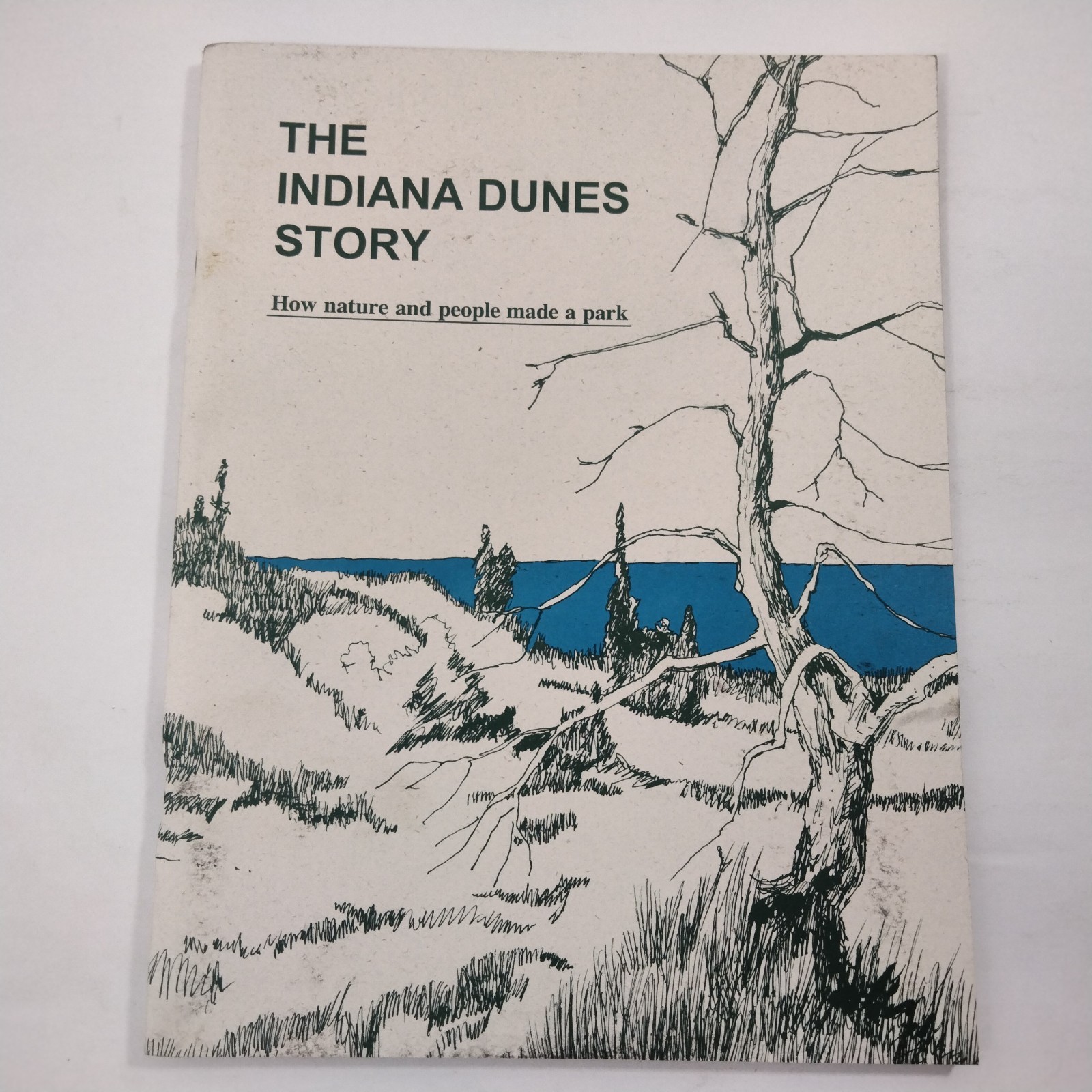 The Indiana Dune Story How Nature And People Made A Park