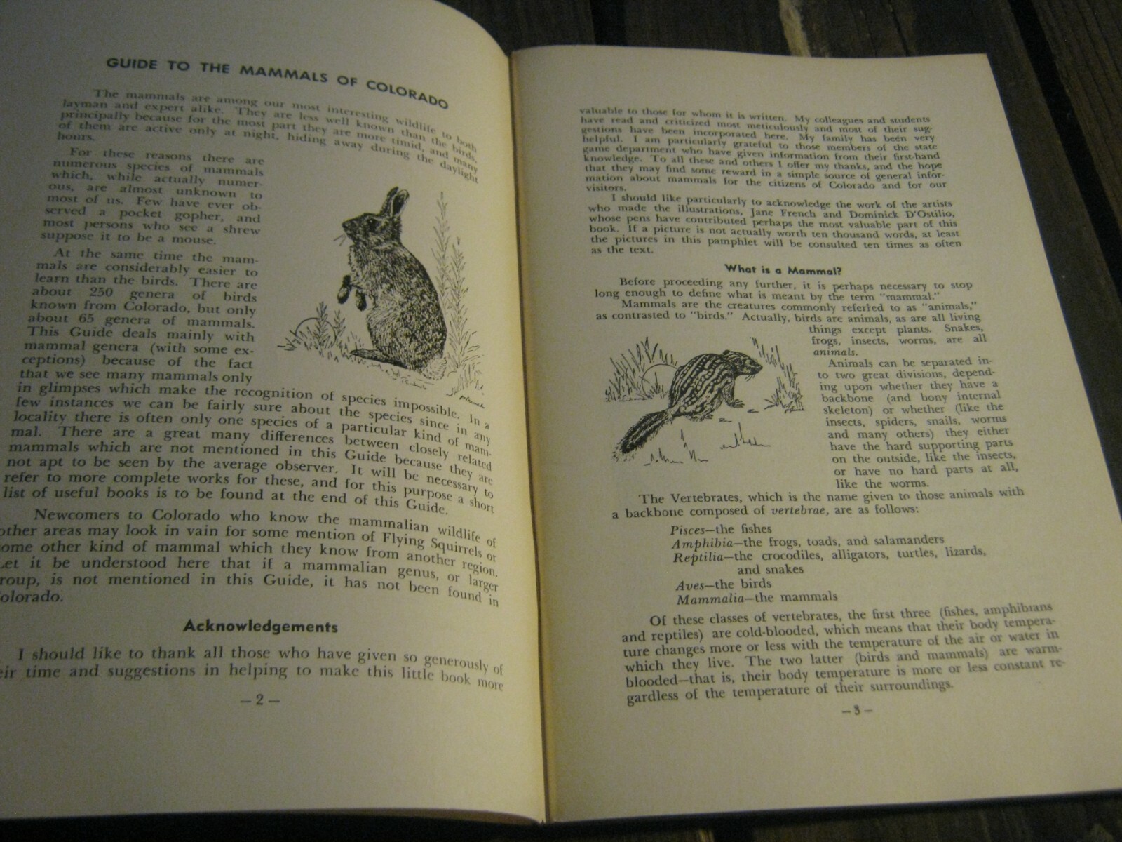 1967 Guide To The Mammals Of Colorado book by Hugo G. Rodeck