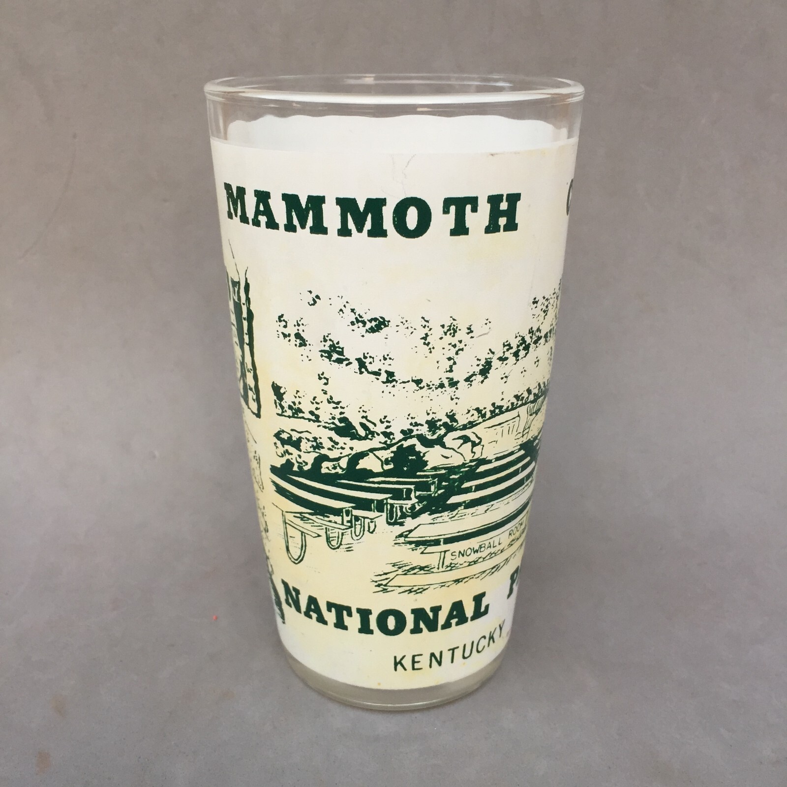 Mammoth Cave National Park Kentucky Souvenir Drink Glass Tumbler Vintage Frosted