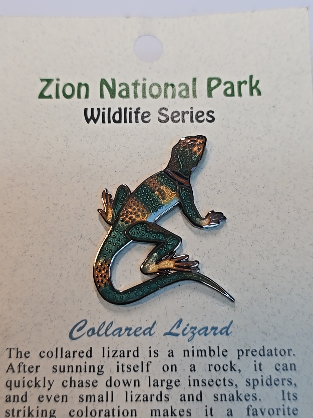 Collared Lizard Souvenir Lapel Pin Zion National Park Wildlife Series Utah