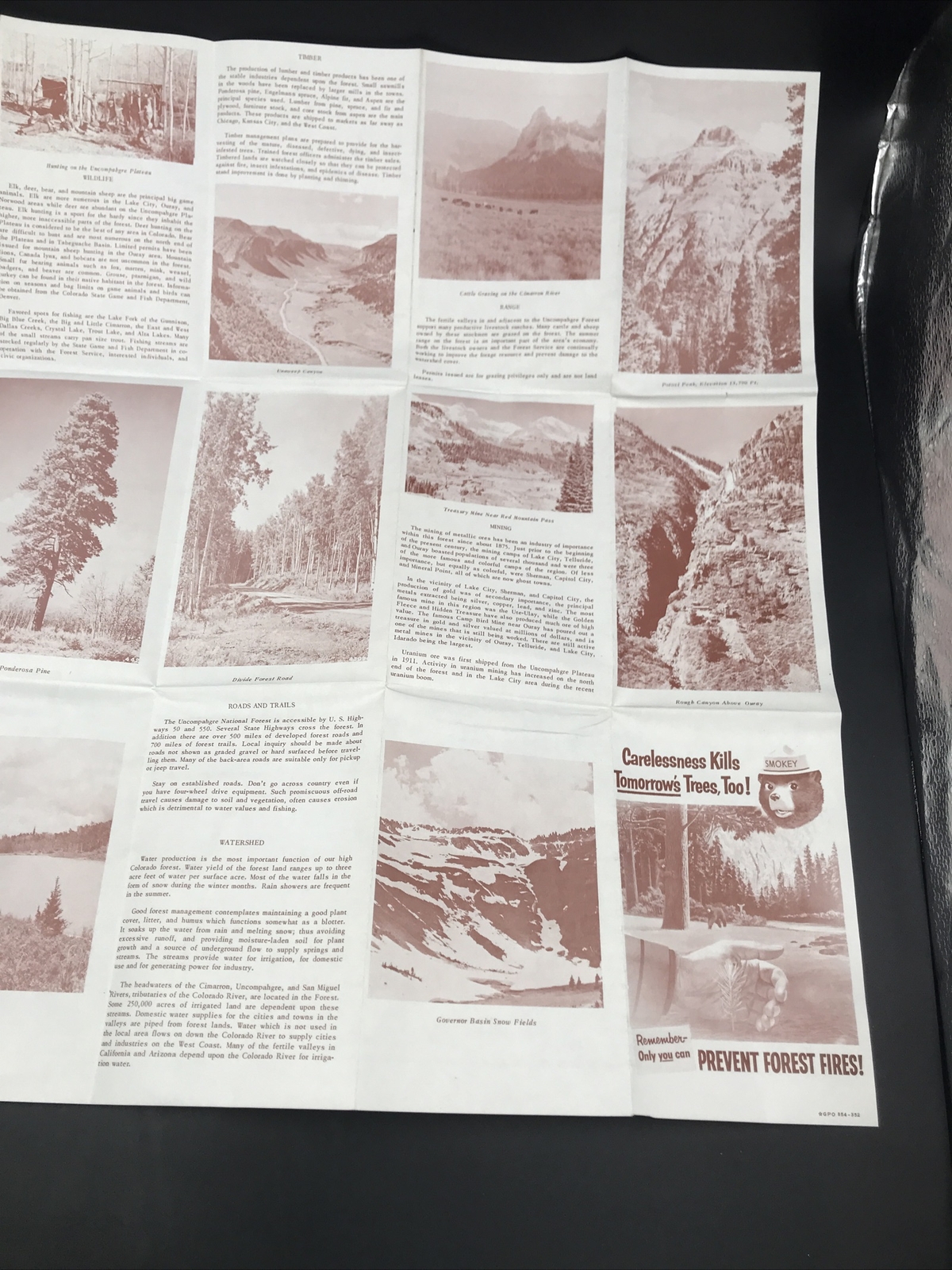 VTG 1951 Uncompahgre National Forest Colorado Map Forest Service Smokey the Bear