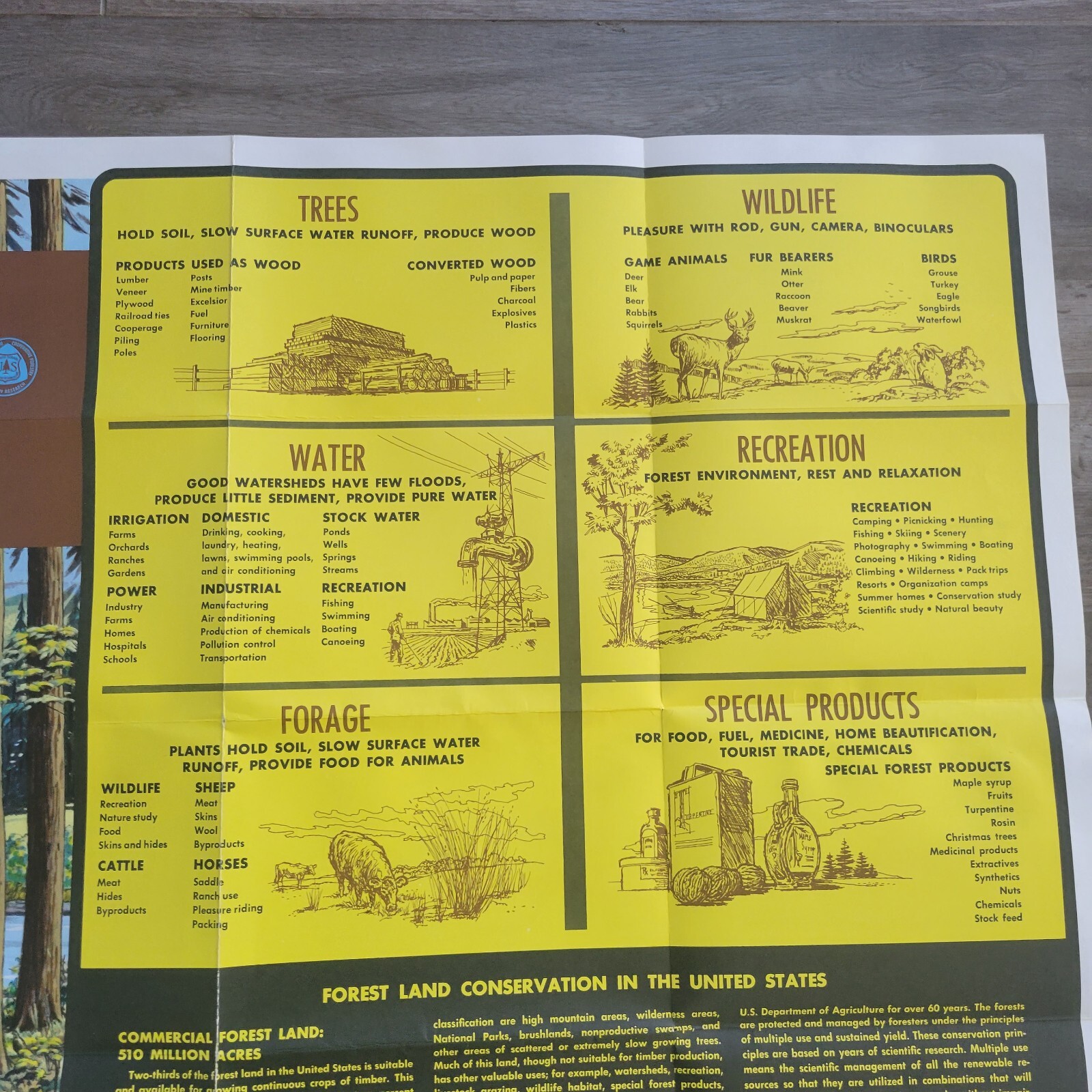 Vintage 1968 US National Forest Service Poster Educational Smokey the Bear 40×32