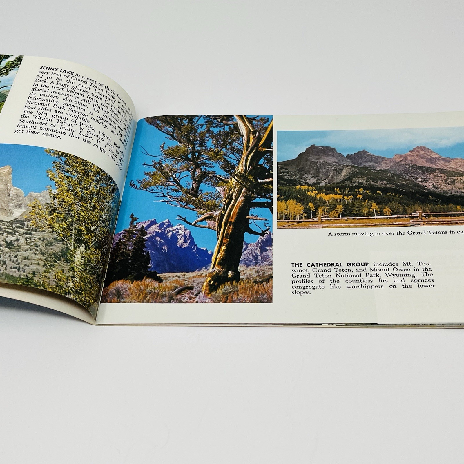 1960’s Yellowstone And Grand Teton Jackson Hole County Tourist Guide Map Book