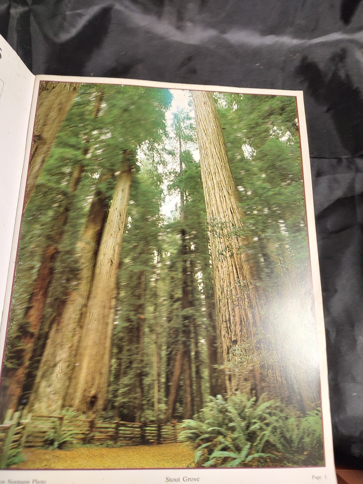 California Redwoods And The North Coast by Bob von Normann 1984 0915687003 PB