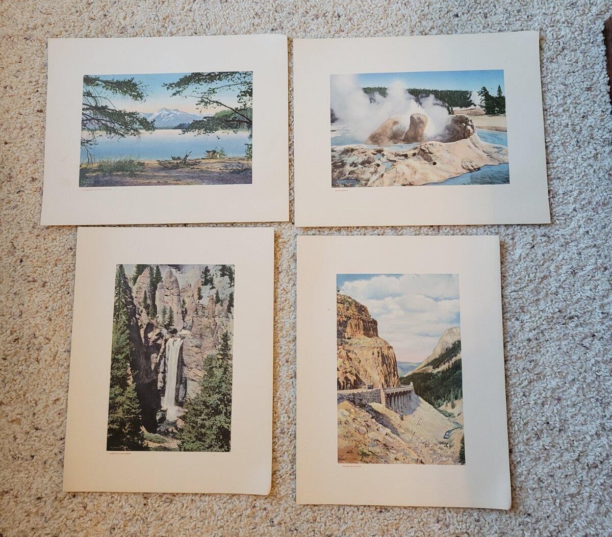 Vintage Yellowstone National Park Portfolio Set Haynes & Large Postcards