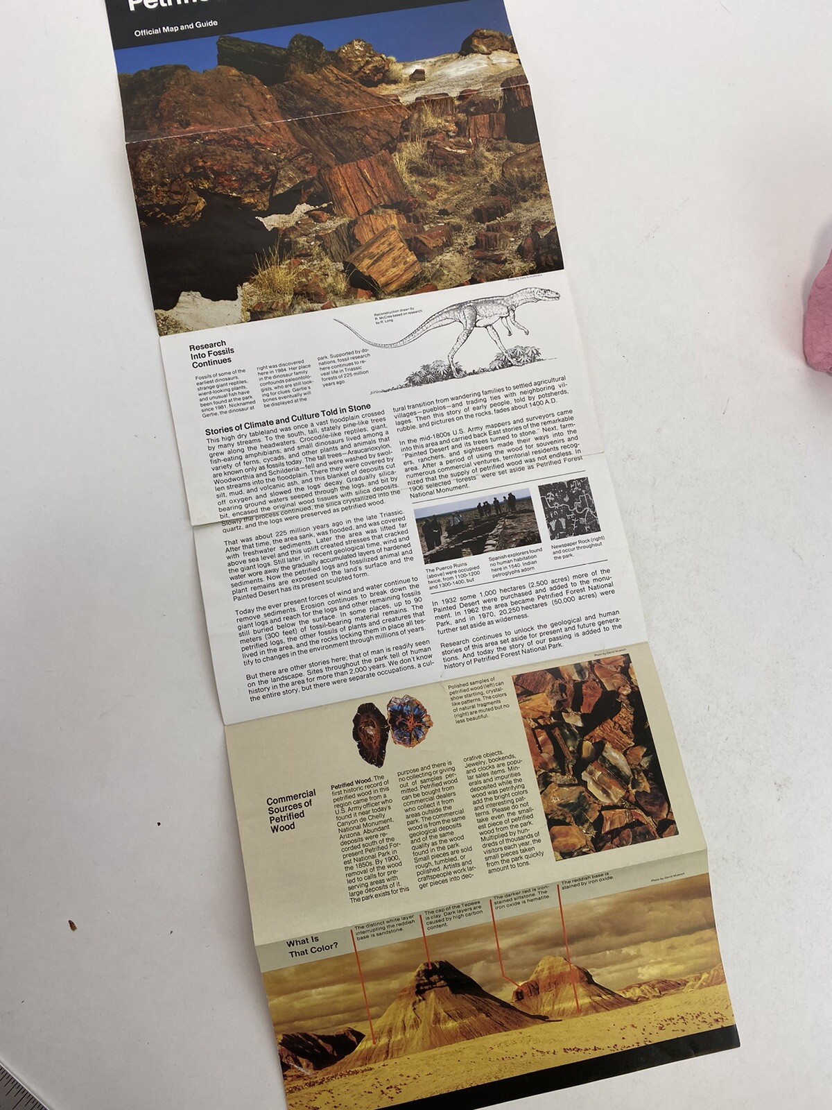 1992 Petrified Forest National Park Official Map and Guide Arizona