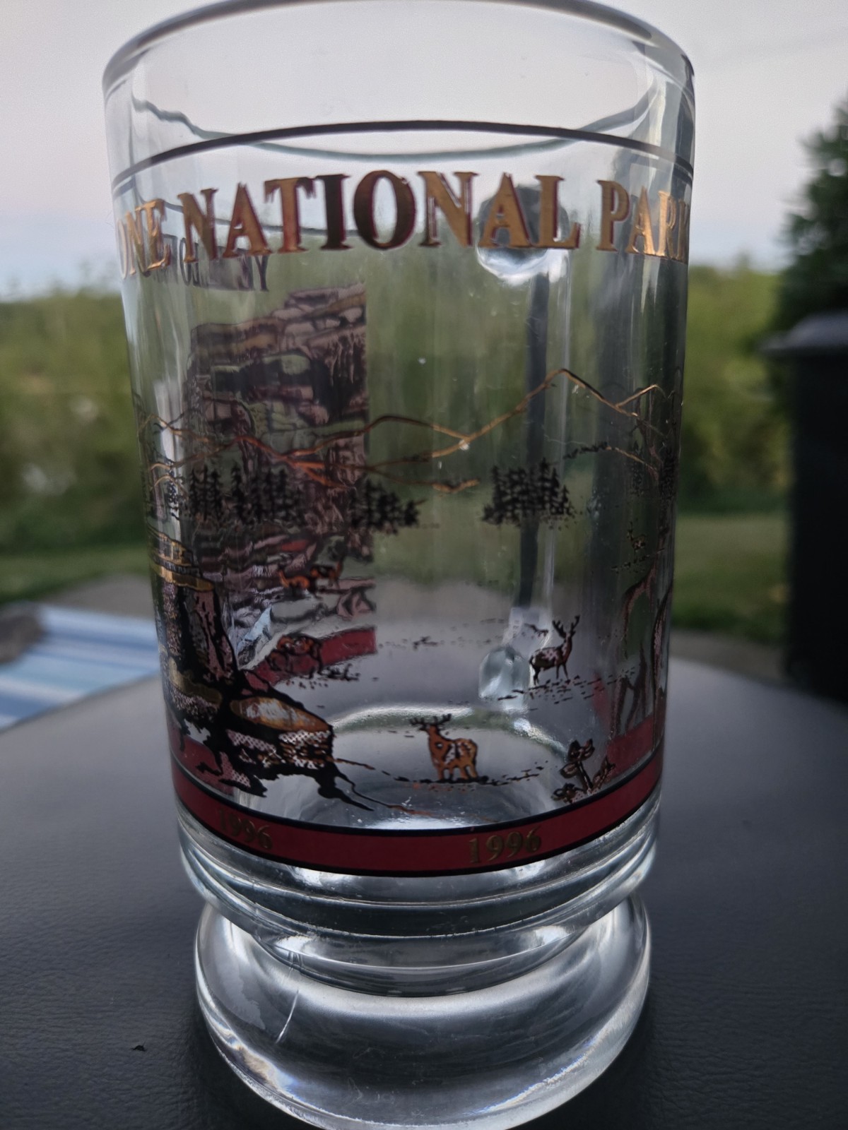Vintage 1996 Yellowstone National Park Souvenir Glass Mug Beer Stein Wildlife…
