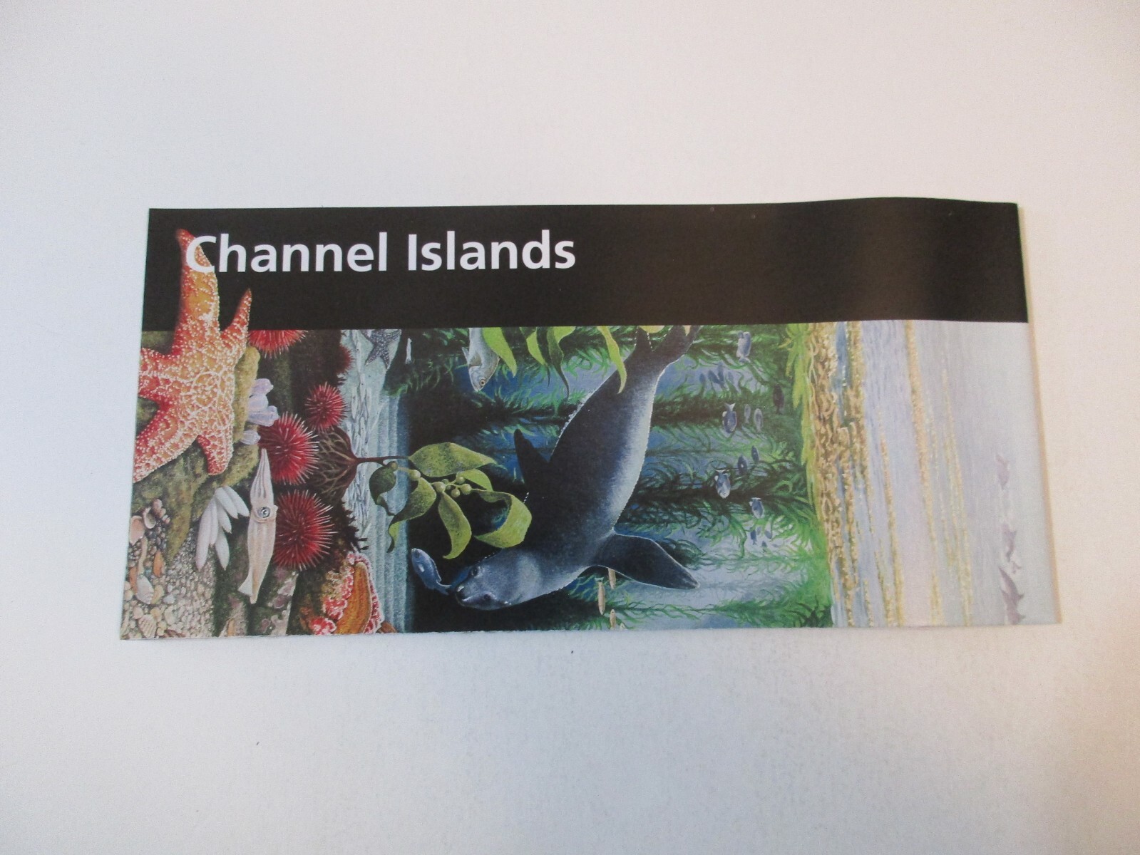 2017 Channel Islands California National Park System Brochure Map Guide~B24