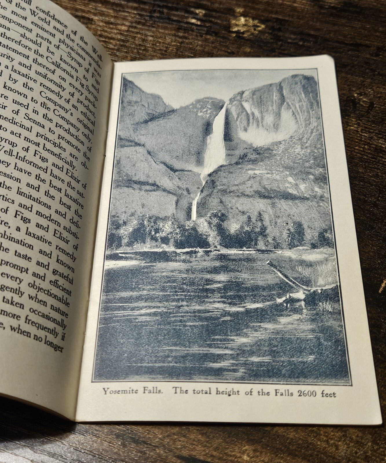 c1900 California Fig Syrup Travel Brochure Yosemite Lake Tahoe Shasta Santa…