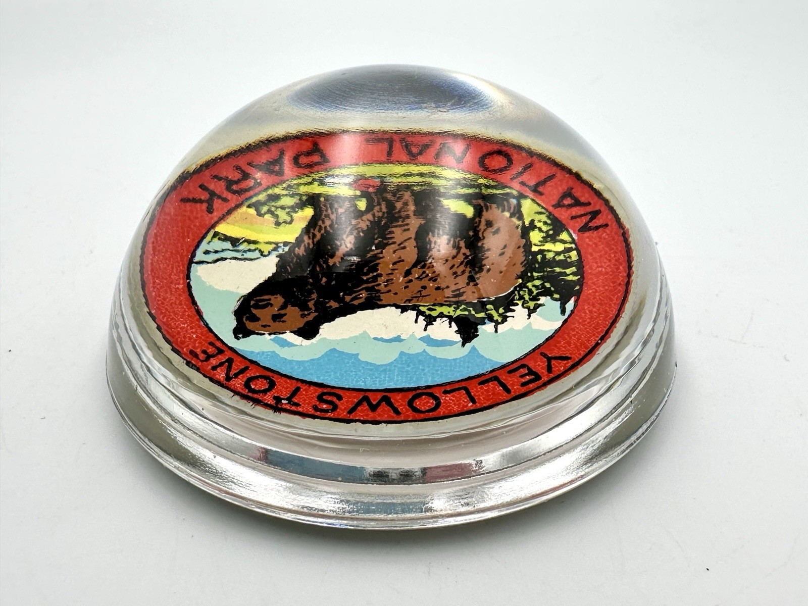 Vintage Yellowstone National Park Bear Souvenir Glass Paper Weight