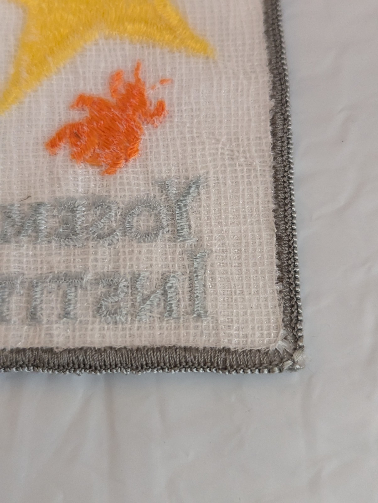 Yosemite Institute Patch (AKA Nature Bridge) Bat Star Lizard Insect on white.