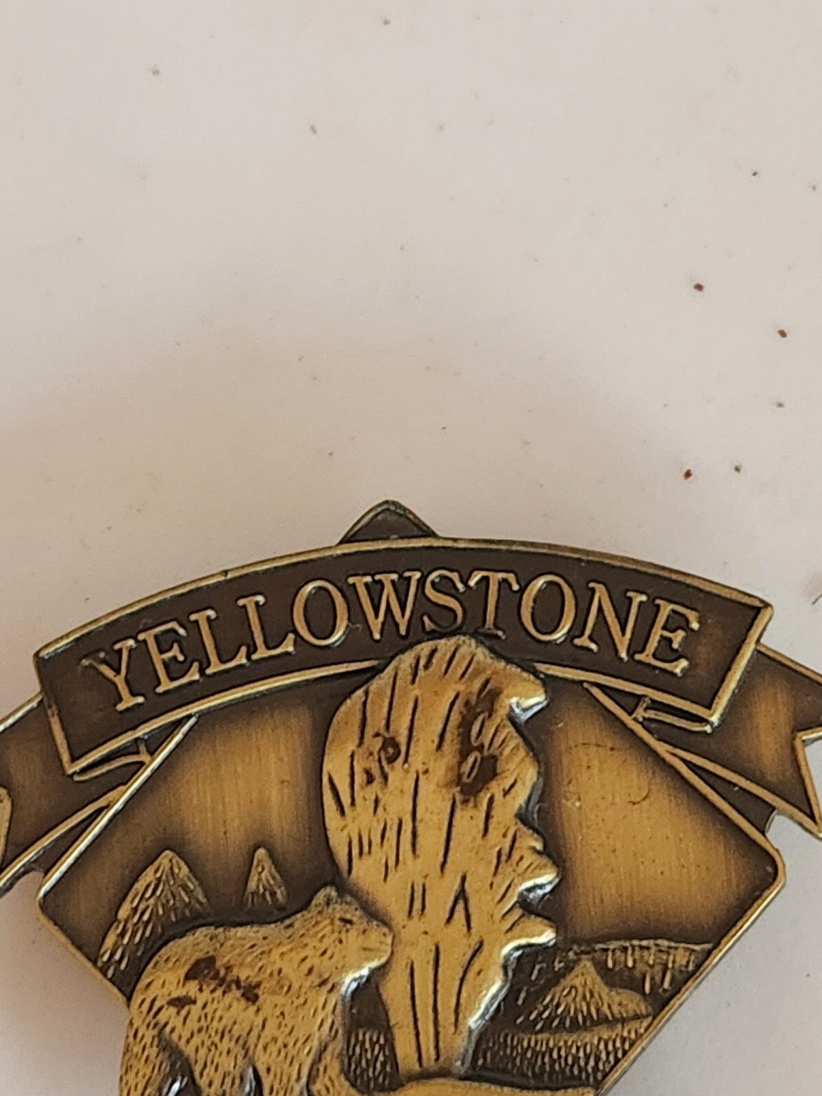 Yellowstone National Park The Grand Old Park Old Faithful Bear Magnet