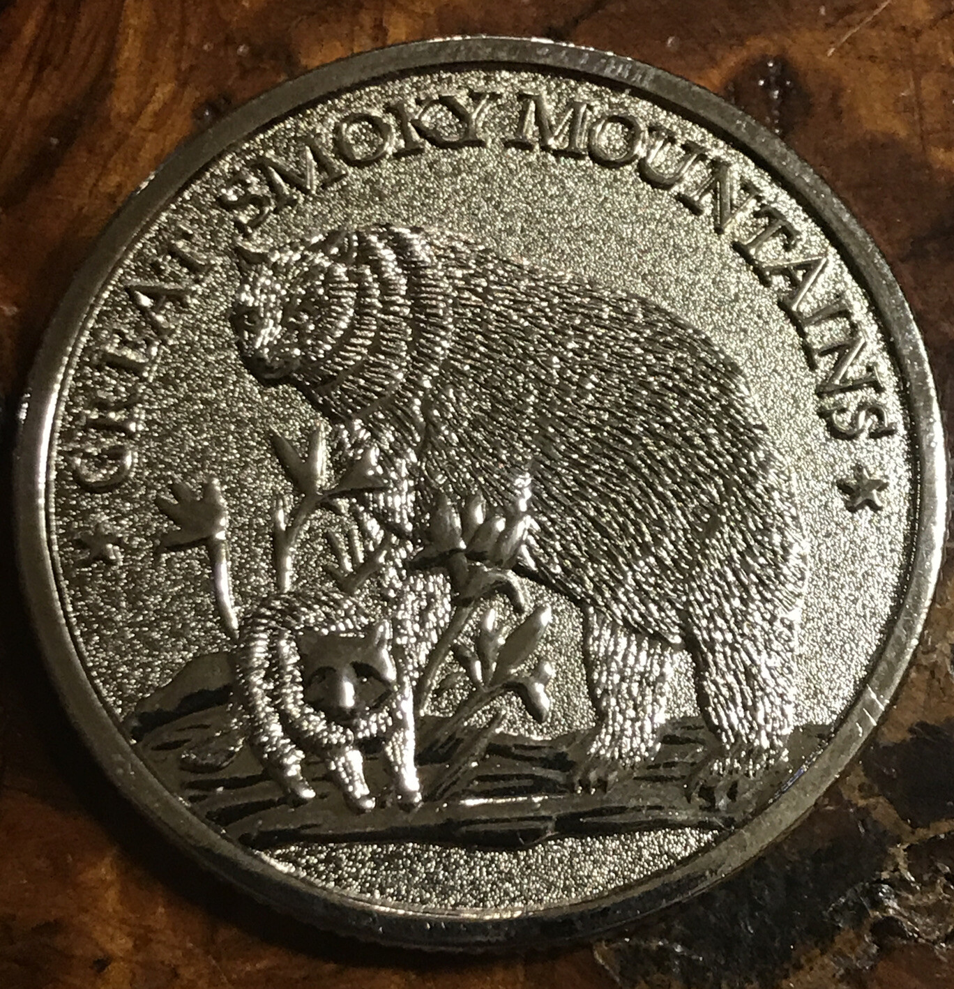 Great Smoky Mountains Tennessee The Volunteer State Collectible Coin (T6)