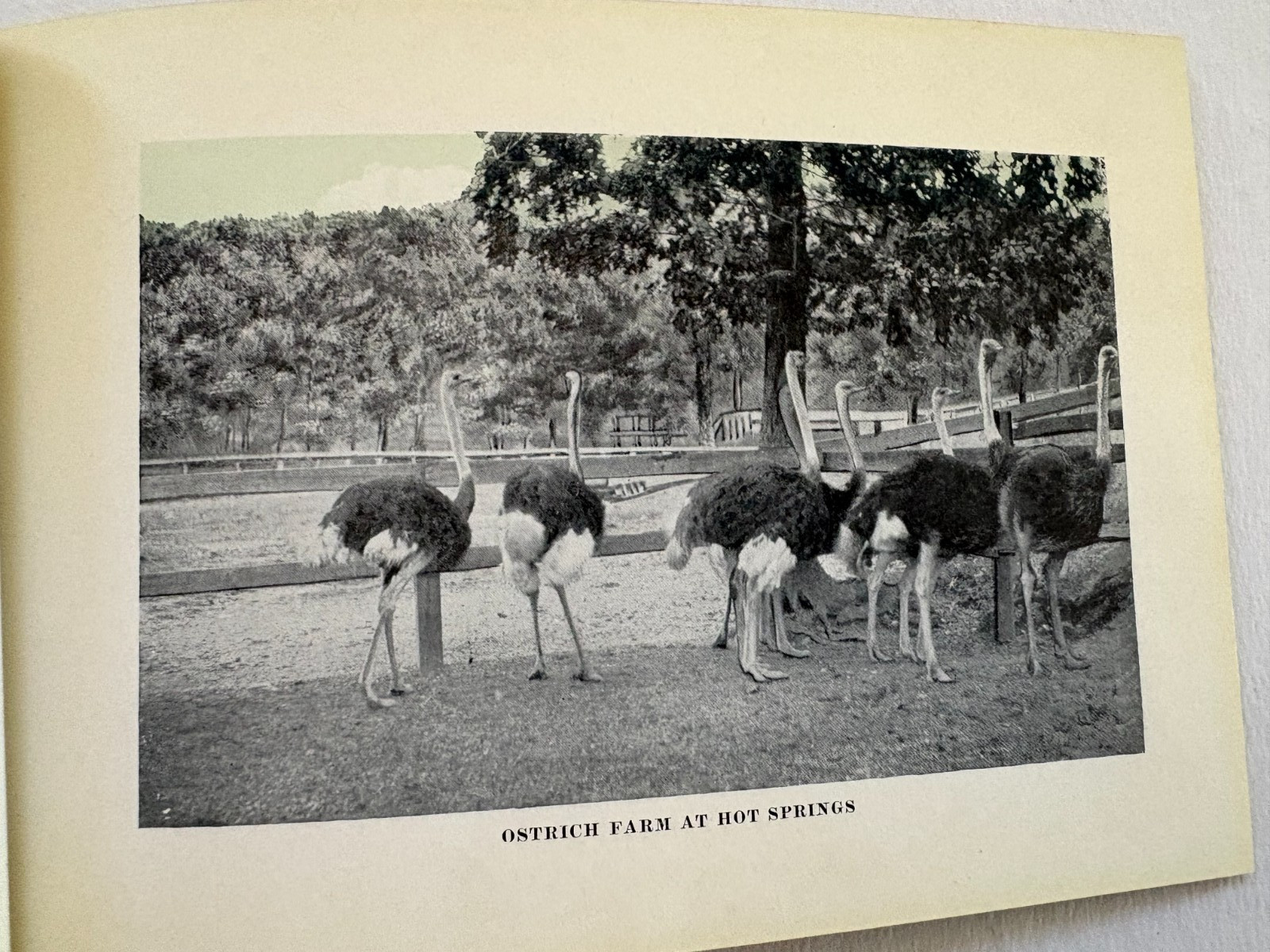 1930’s Booklet “Hot Springs National Park ” Arkansas – 42 pages of Pics & Info *