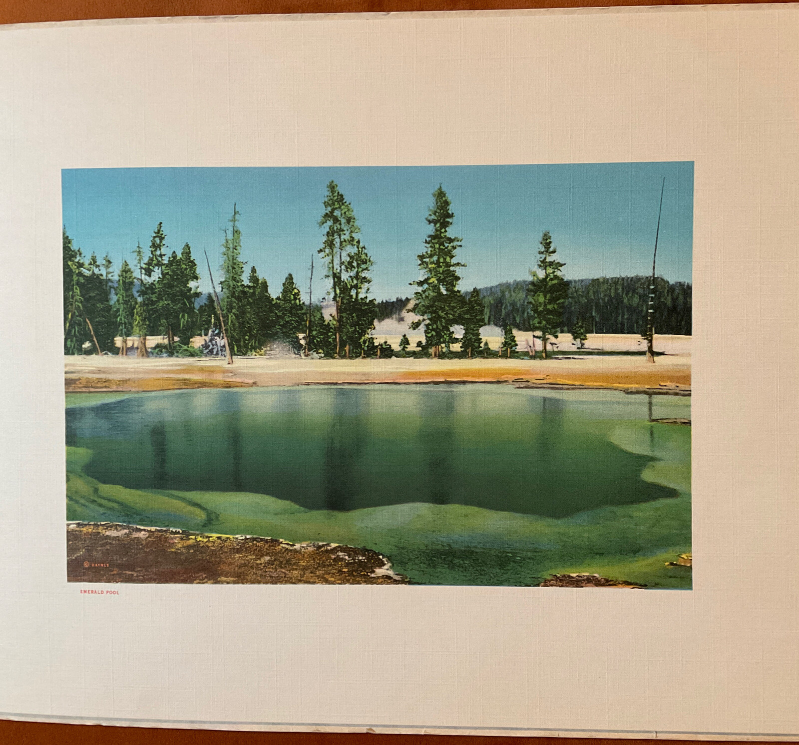 VINTAGE Yellowstone National Park Haynes Picture Shops Souvenir Booklet/Pic’s￼