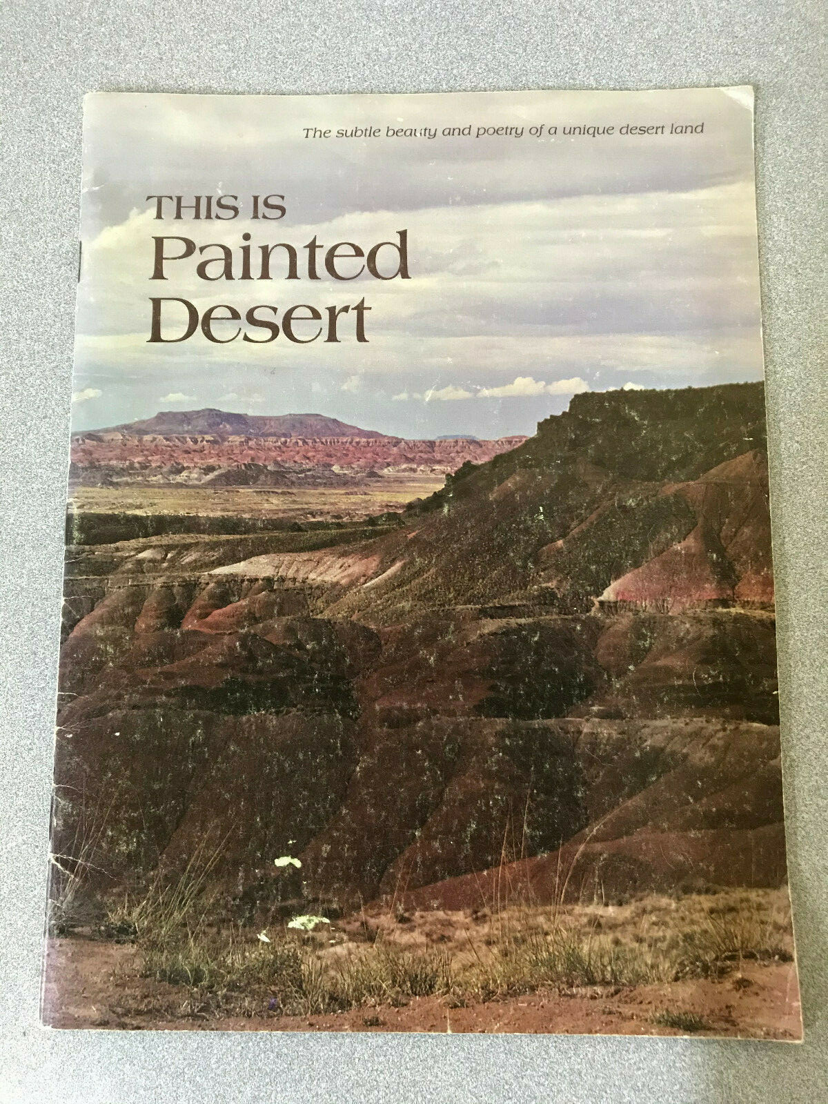 This Painted Desert Petrified Forest National Park John Wagoner 1971 Art Book