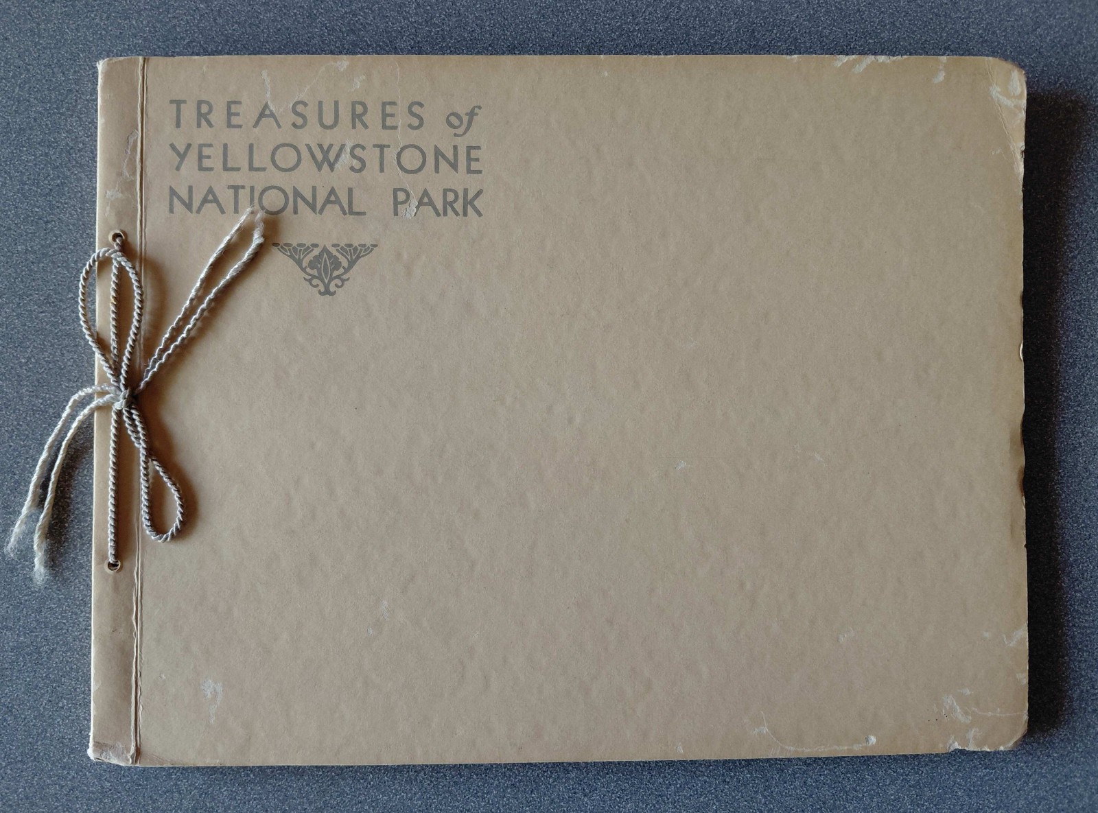 Vintage Treasures of Yellowstone National Park Haynes 18 Color Photos