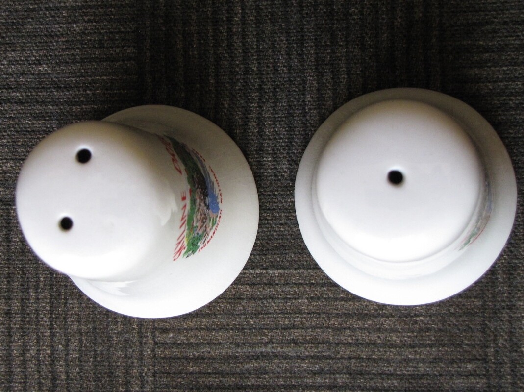 SALT & PEPPER SHAKERS Shenandoah National Park Souvenir “SKYLINE DRIVE” Vintage