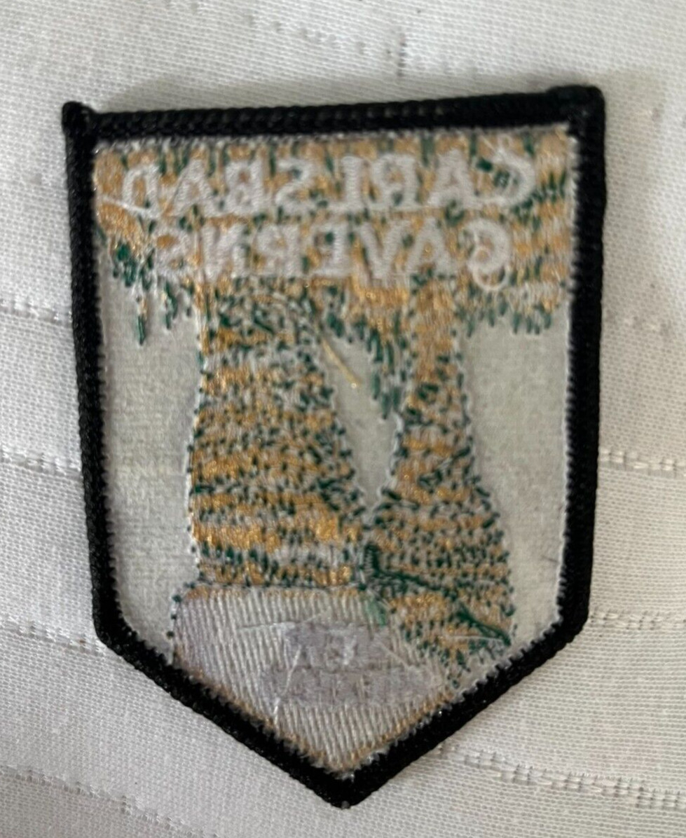 CARLSBAD CAVERNS NATIONAL PARK NEW MEXICO COLLECTIBLE PATCH