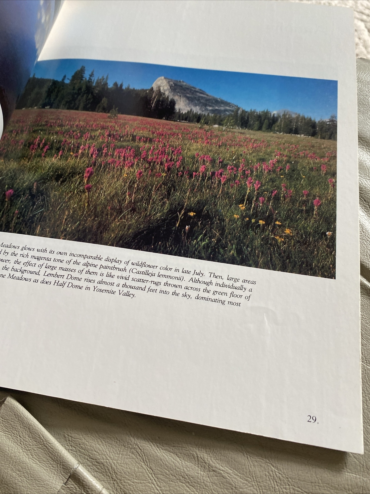 VINTAGE 1978 National Park Booklet THE FOUR SEASONS OF YOSEMITE Morgenson Photos
