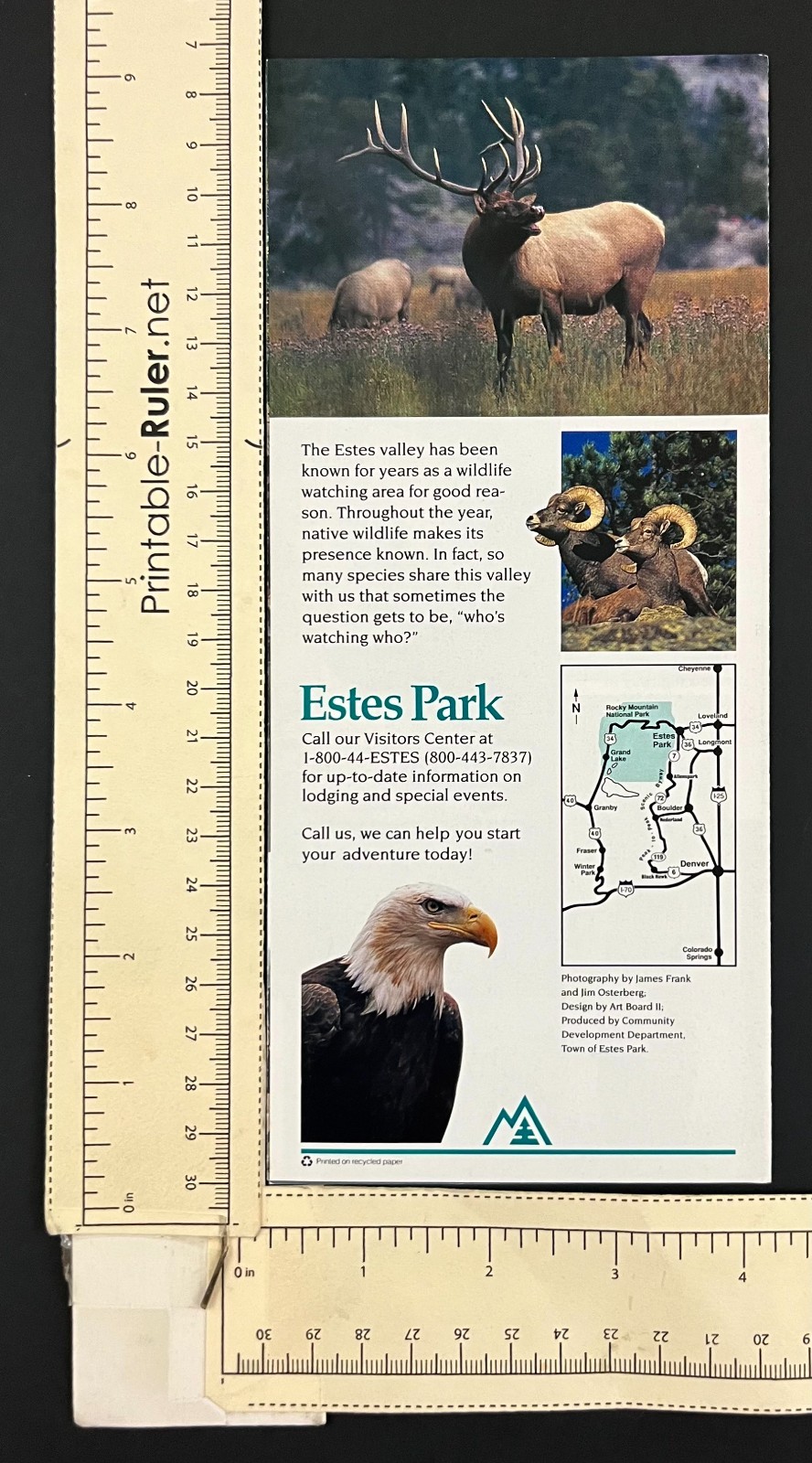 1990s Estes Park Rocky Mountain National Park Colorado Vintage Travel Brochure