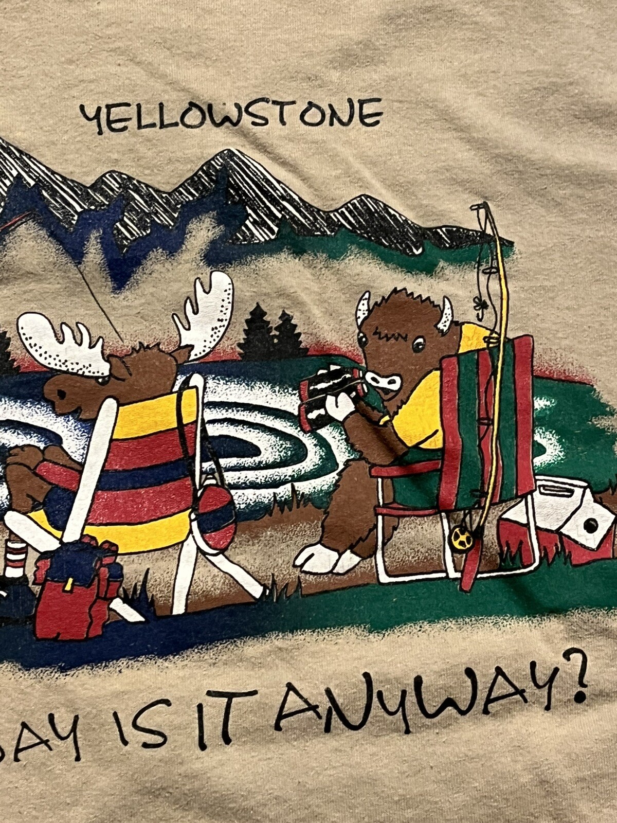 VTG Yellowstone Vintage T-shirt What Day Is It? Jerzees Size L Moose bear Park