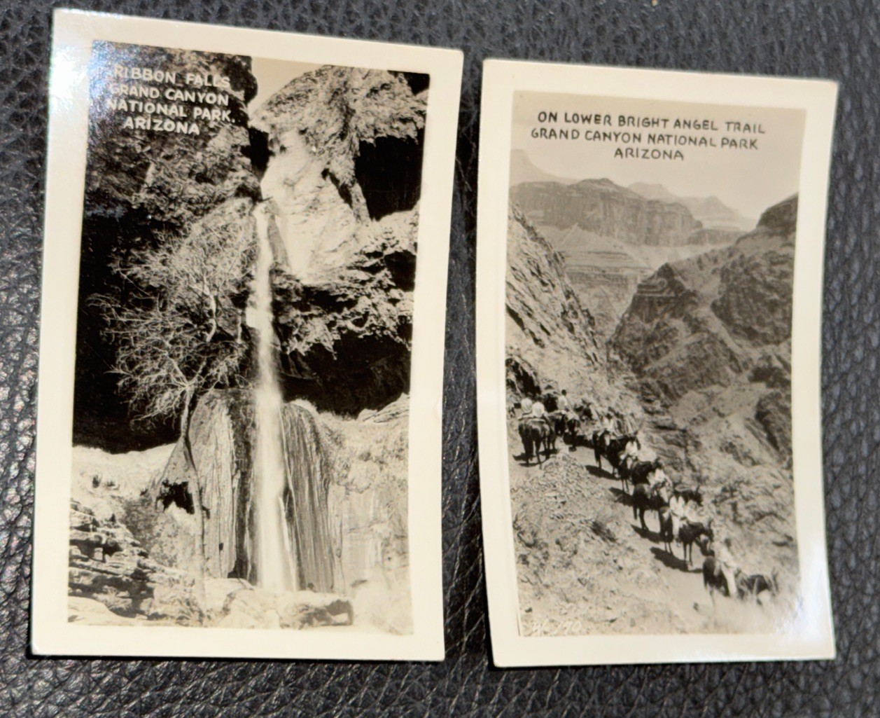 Vintage US Mail Grand Canyon National Park Souvenir Pouch 12 Photos Fred Harvey
