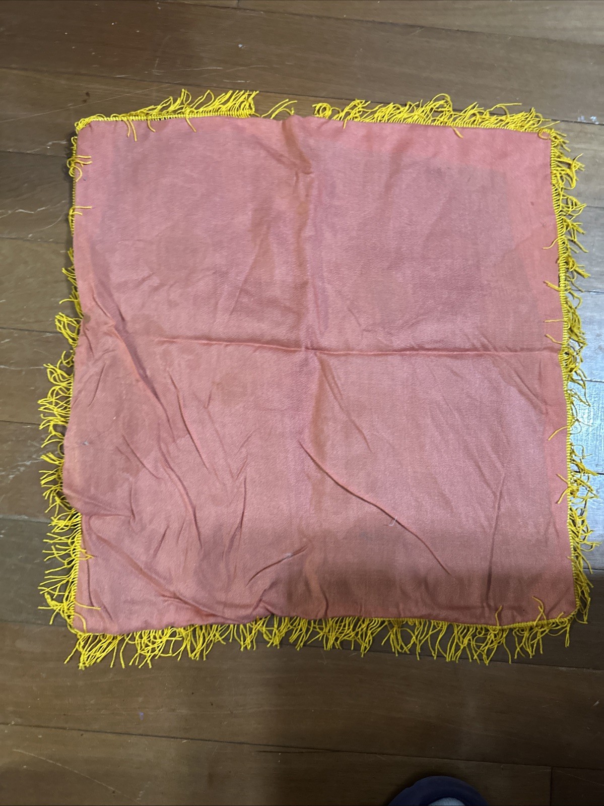 Vintage 1960’s Dallas Texas Pillow Case Cover Fringe Souvenir State Fair Cotton